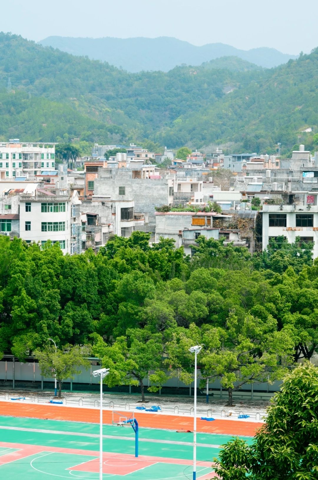 中山公园旅行图片 1