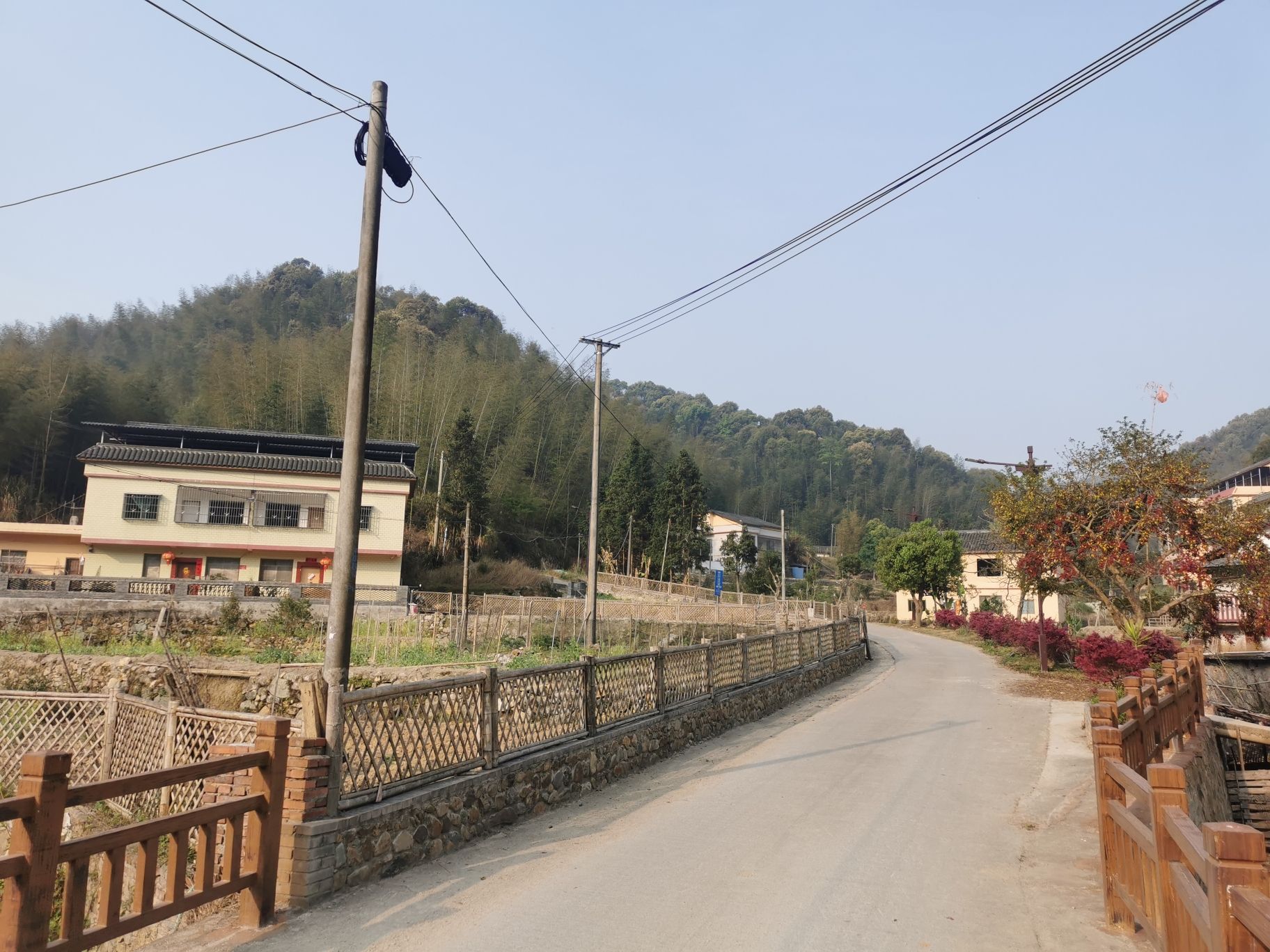 翠山竹海旅行图片 1