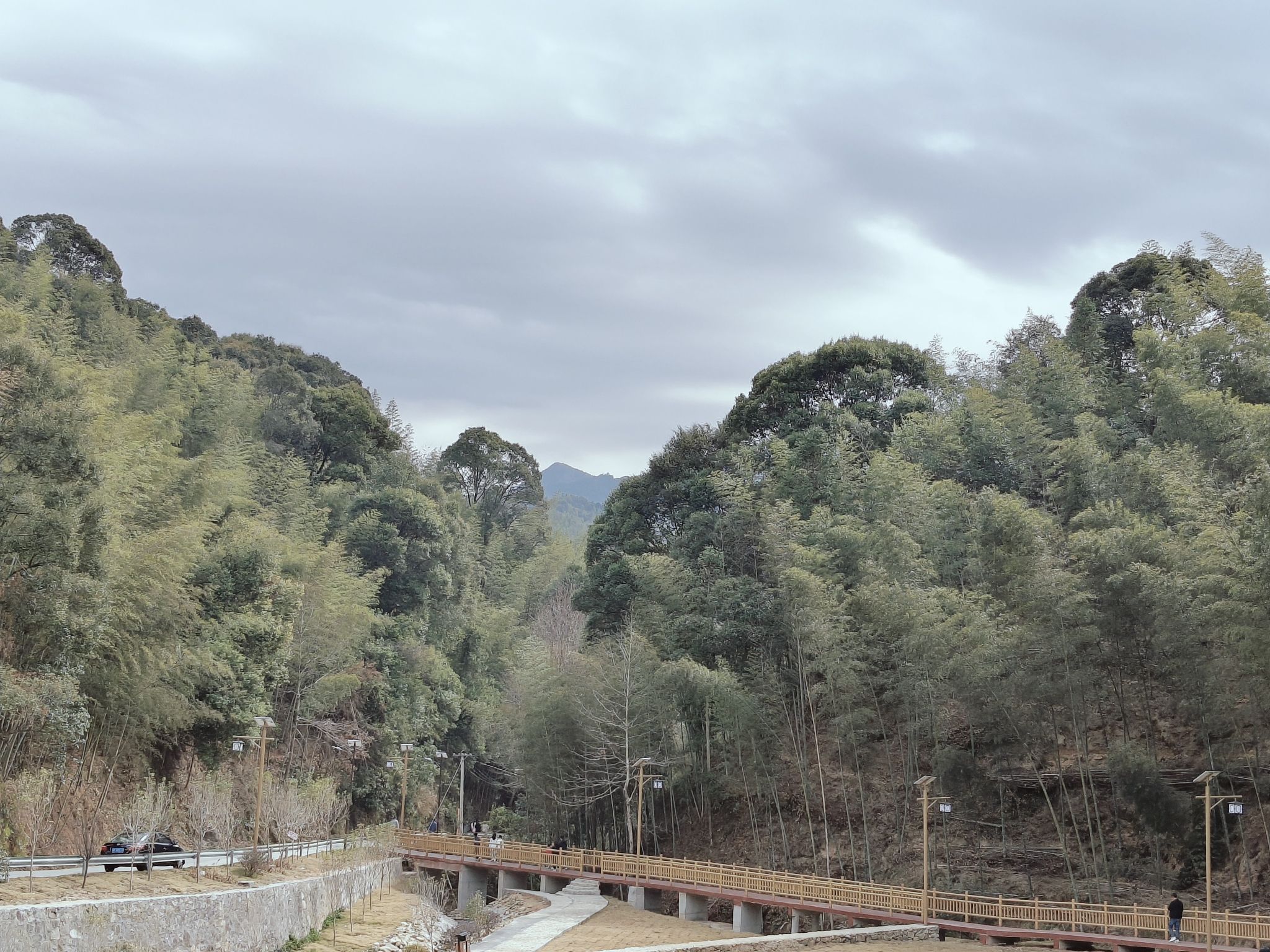 翠山竹海旅行图片 1