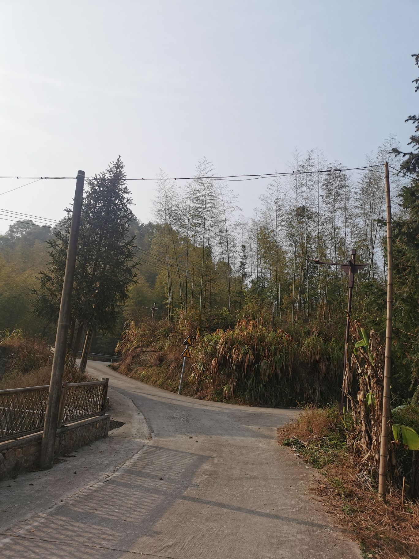 翠山竹海旅行图片 2