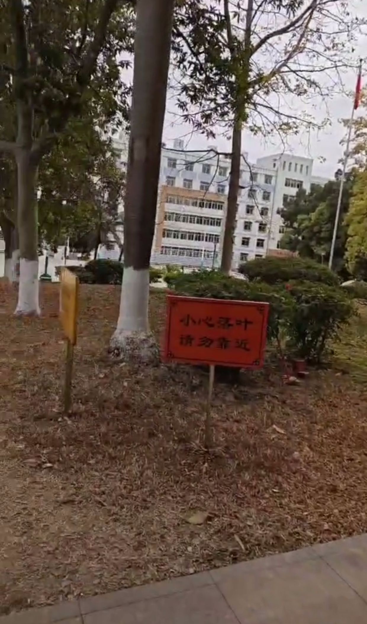 河源市职业技术学校