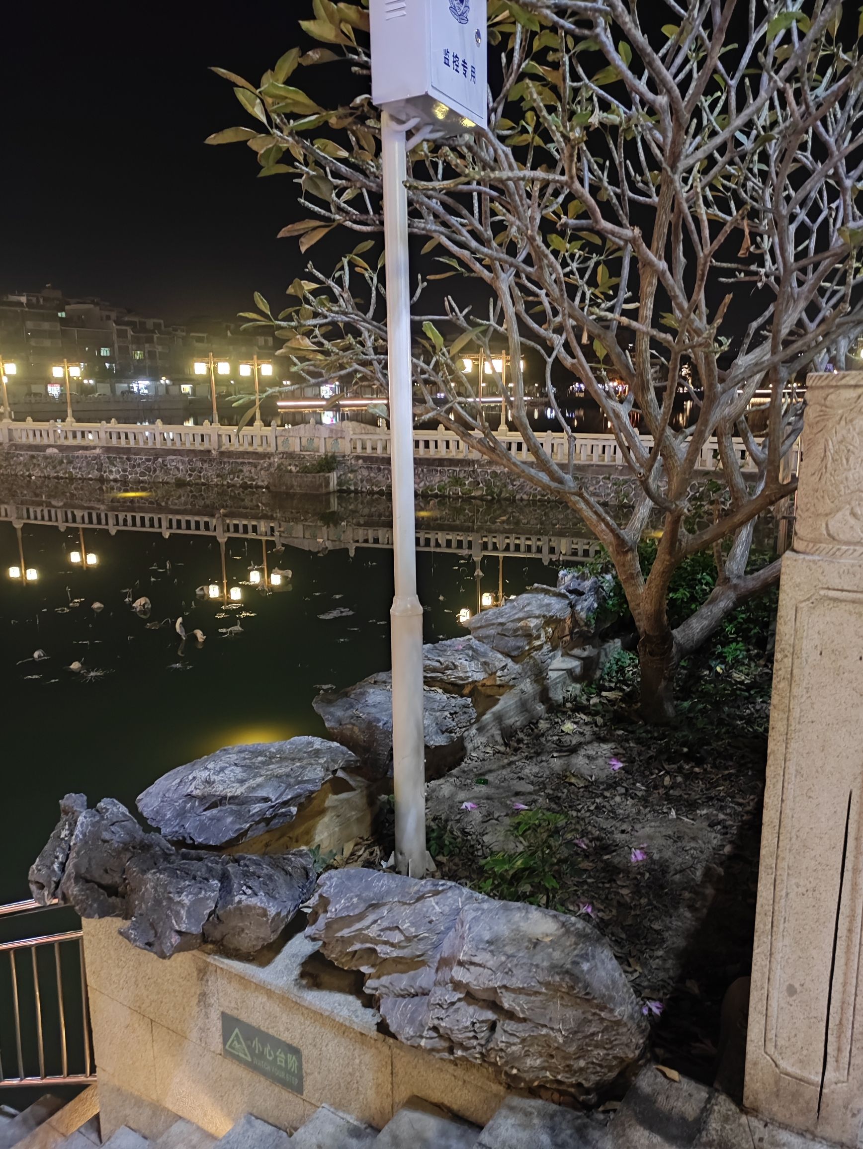 鳄湖公园旅行图片 3