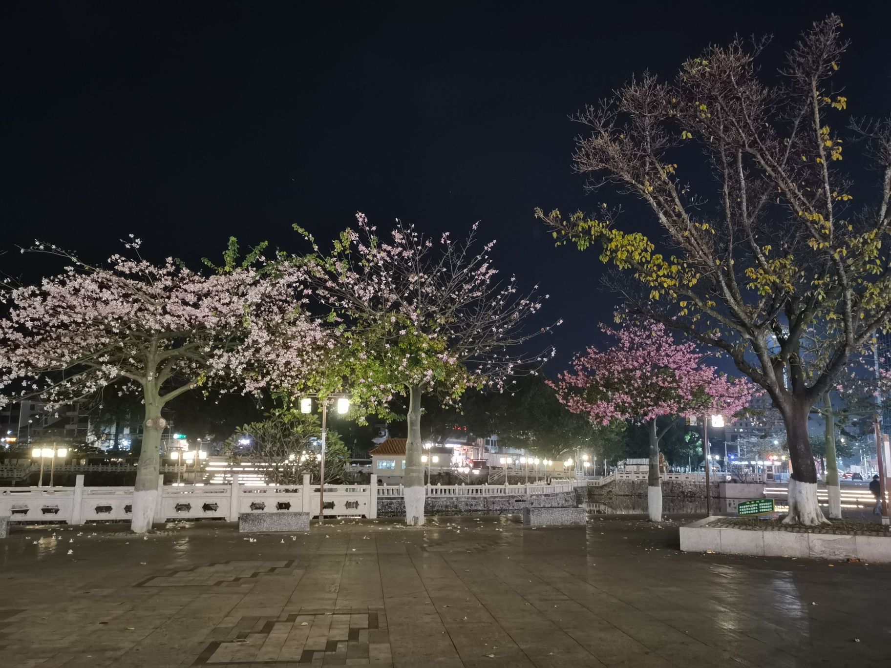 鳄湖公园旅行图片 3