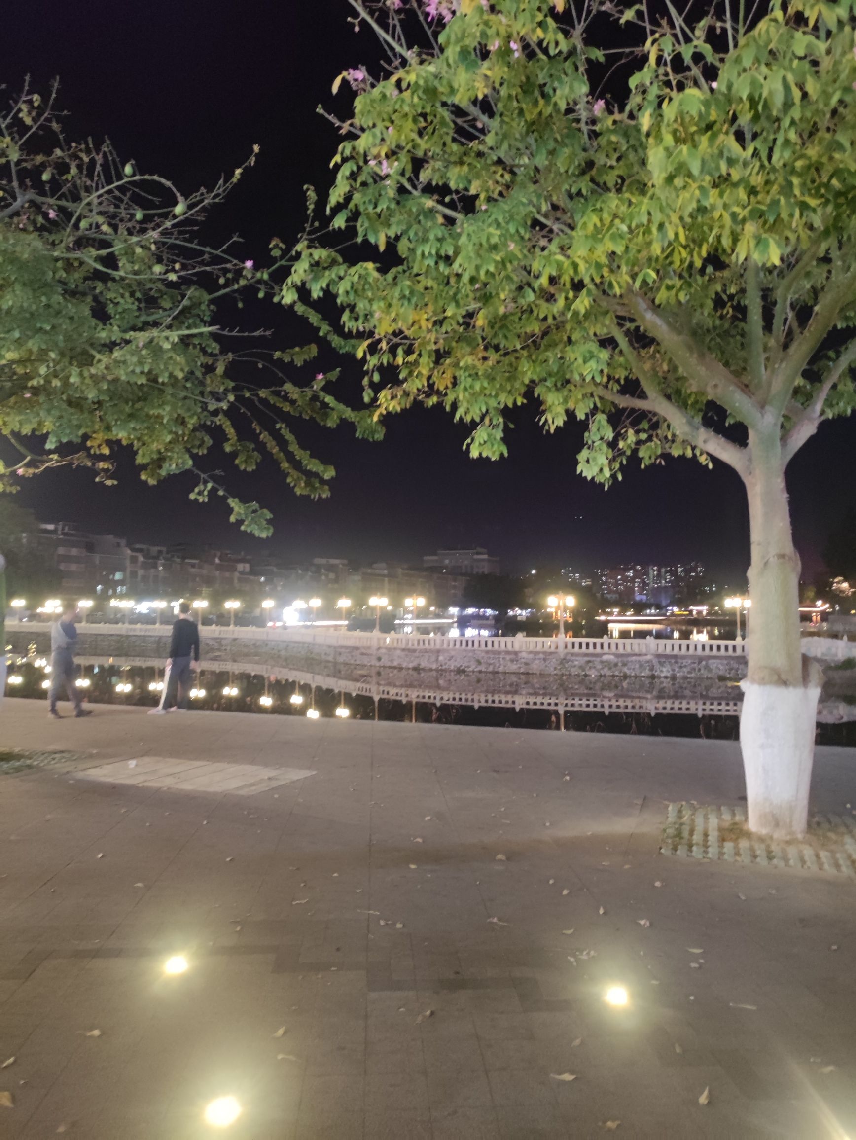 鳄湖公园旅行图片 2