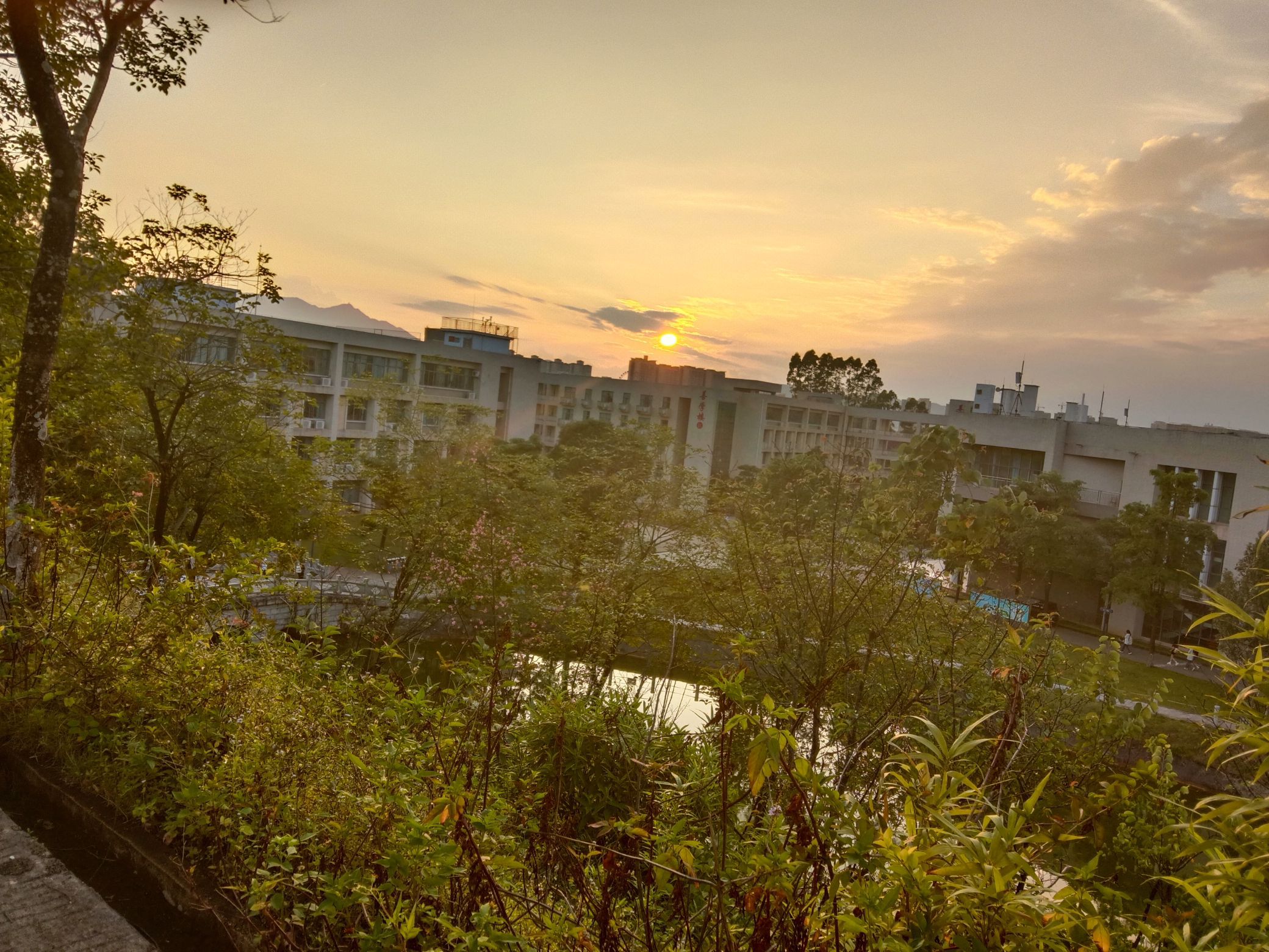 蓝塘中心小学