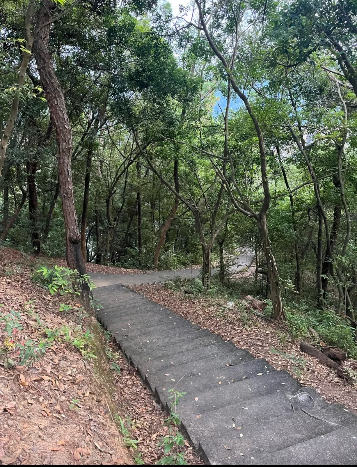 龙山公园旅行图片 3