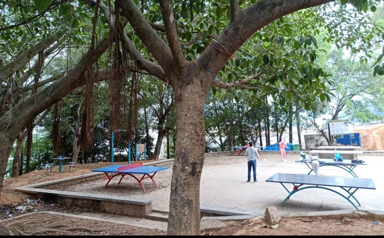 龙山公园旅行图片 2