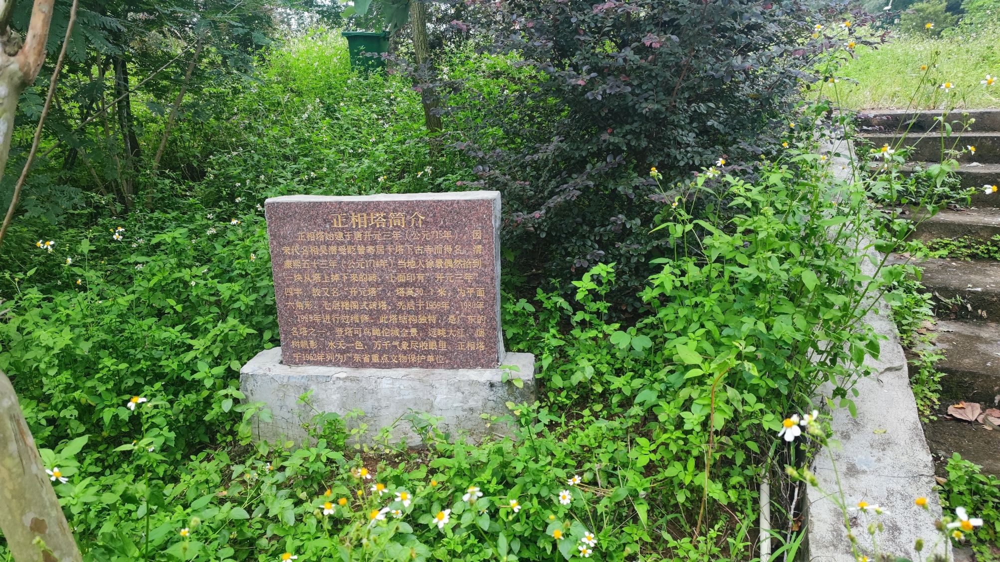 正相塔旅行图片 1