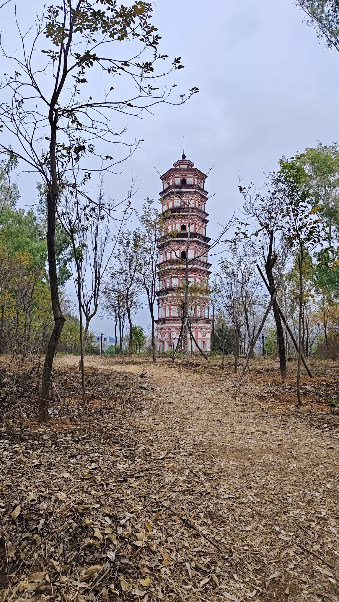 正相塔旅行图片 2