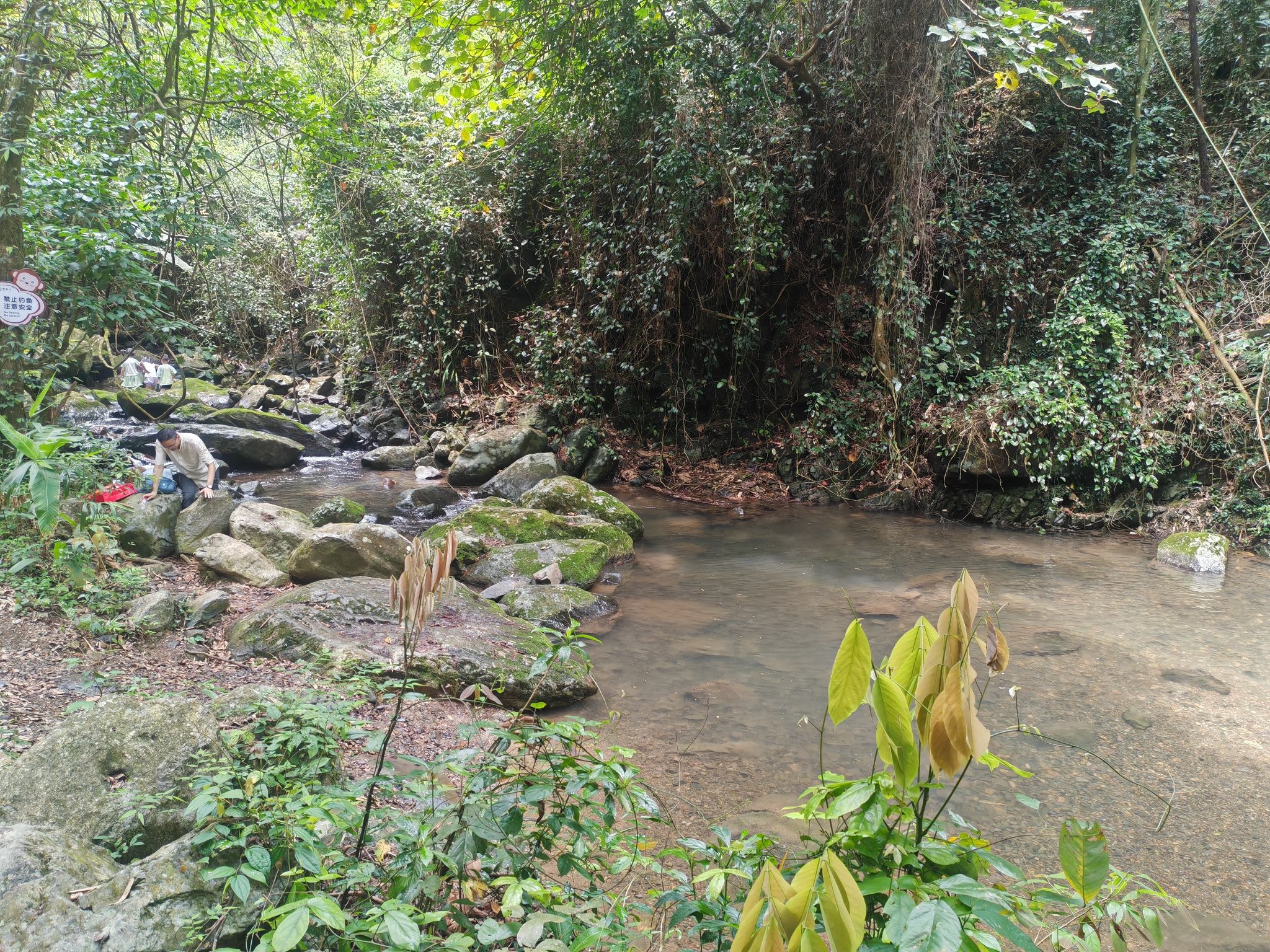 野趣沟旅游区旅行图片 2