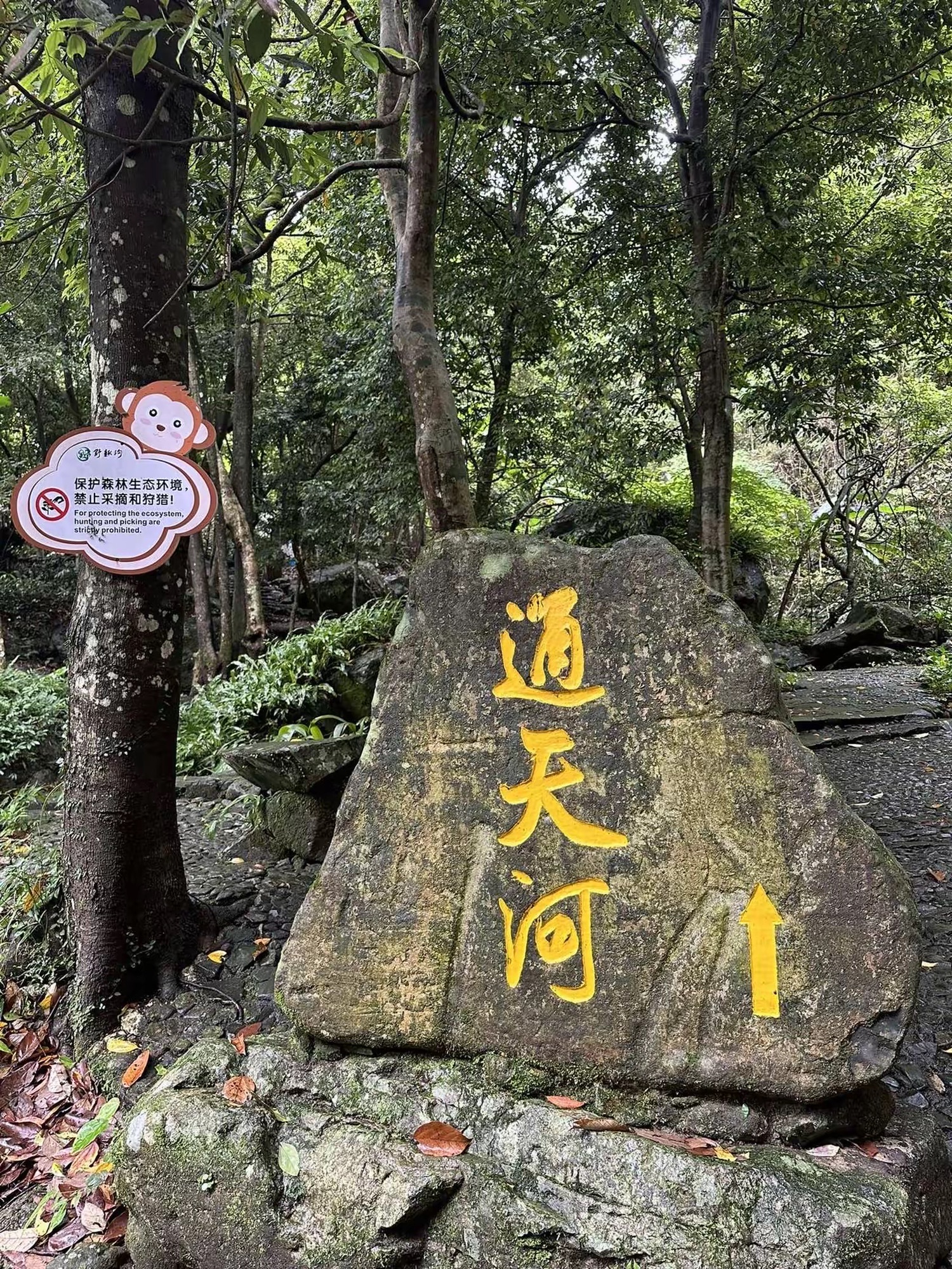 野趣沟旅游区旅行图片 2