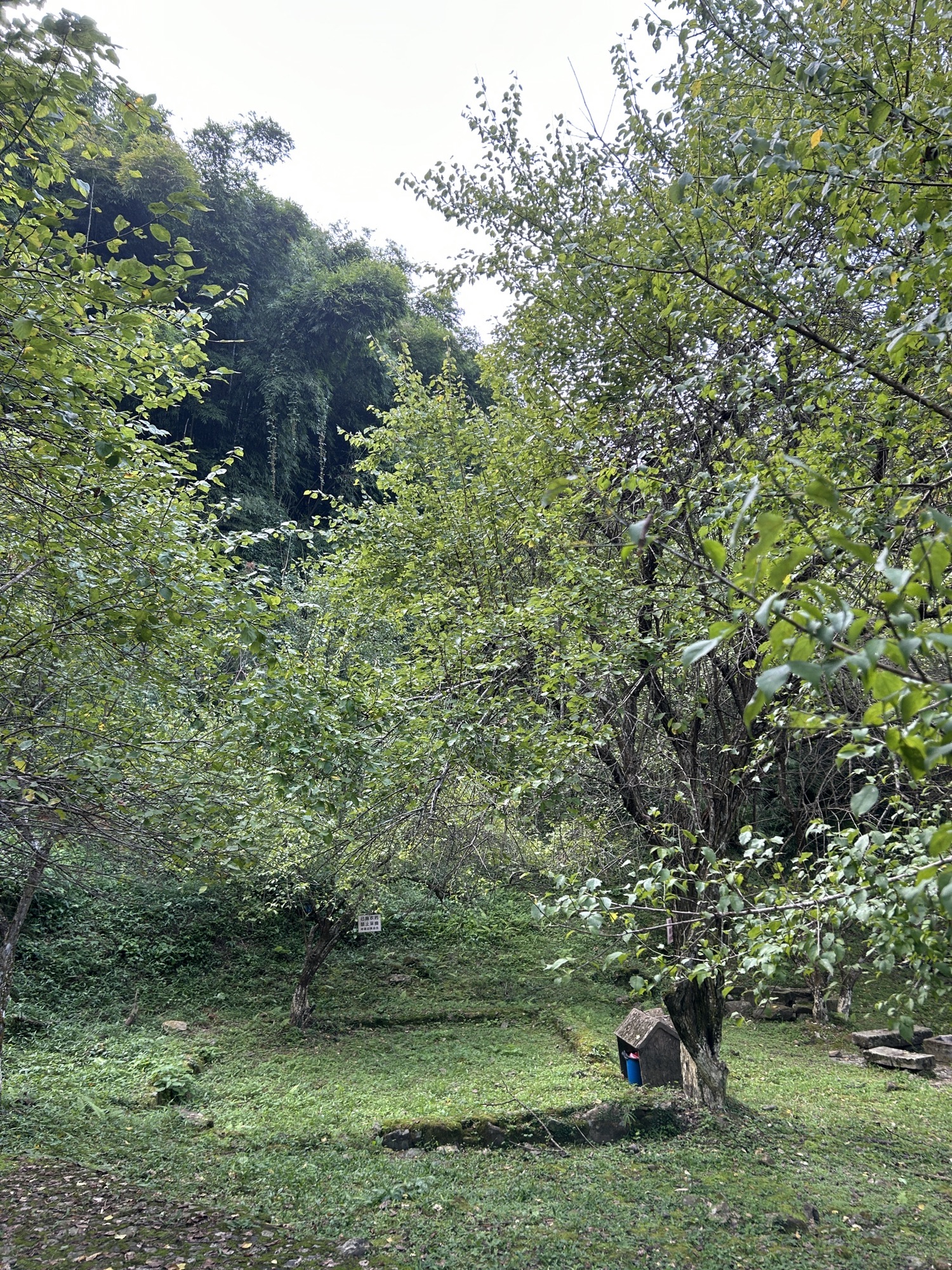 野趣沟旅游区旅行图片 3