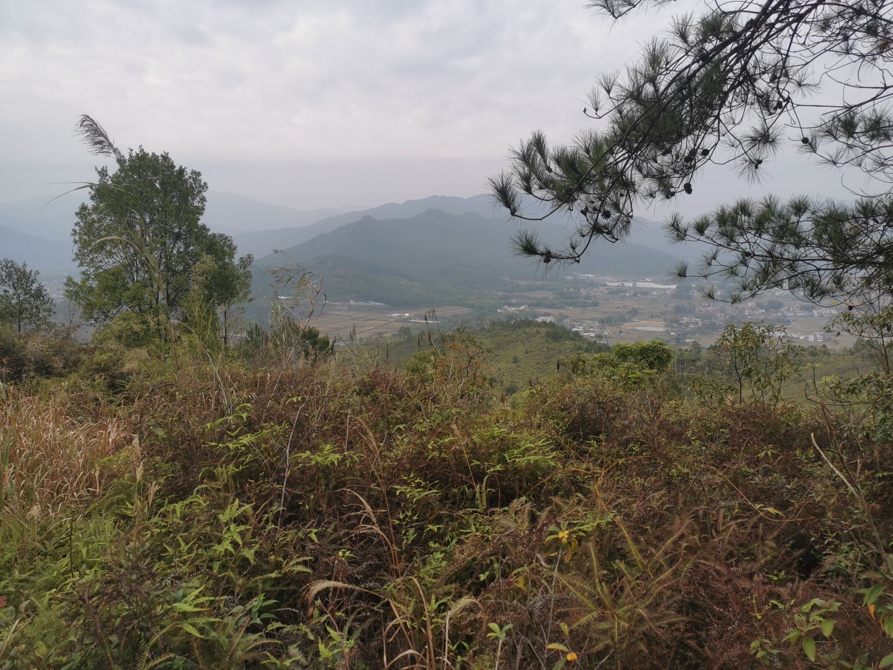 黄岭公园旅行图片 3