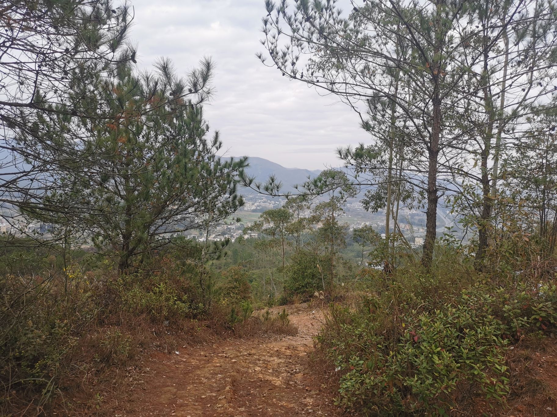黄岭公园旅行图片 2