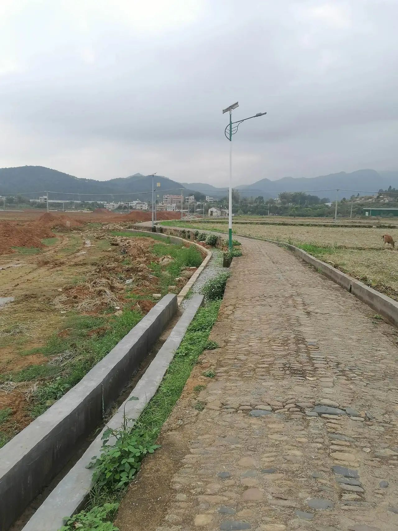 佗城景区旅行图片 2
