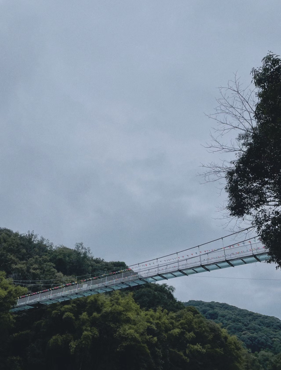 桂山风景区旅行图片 3