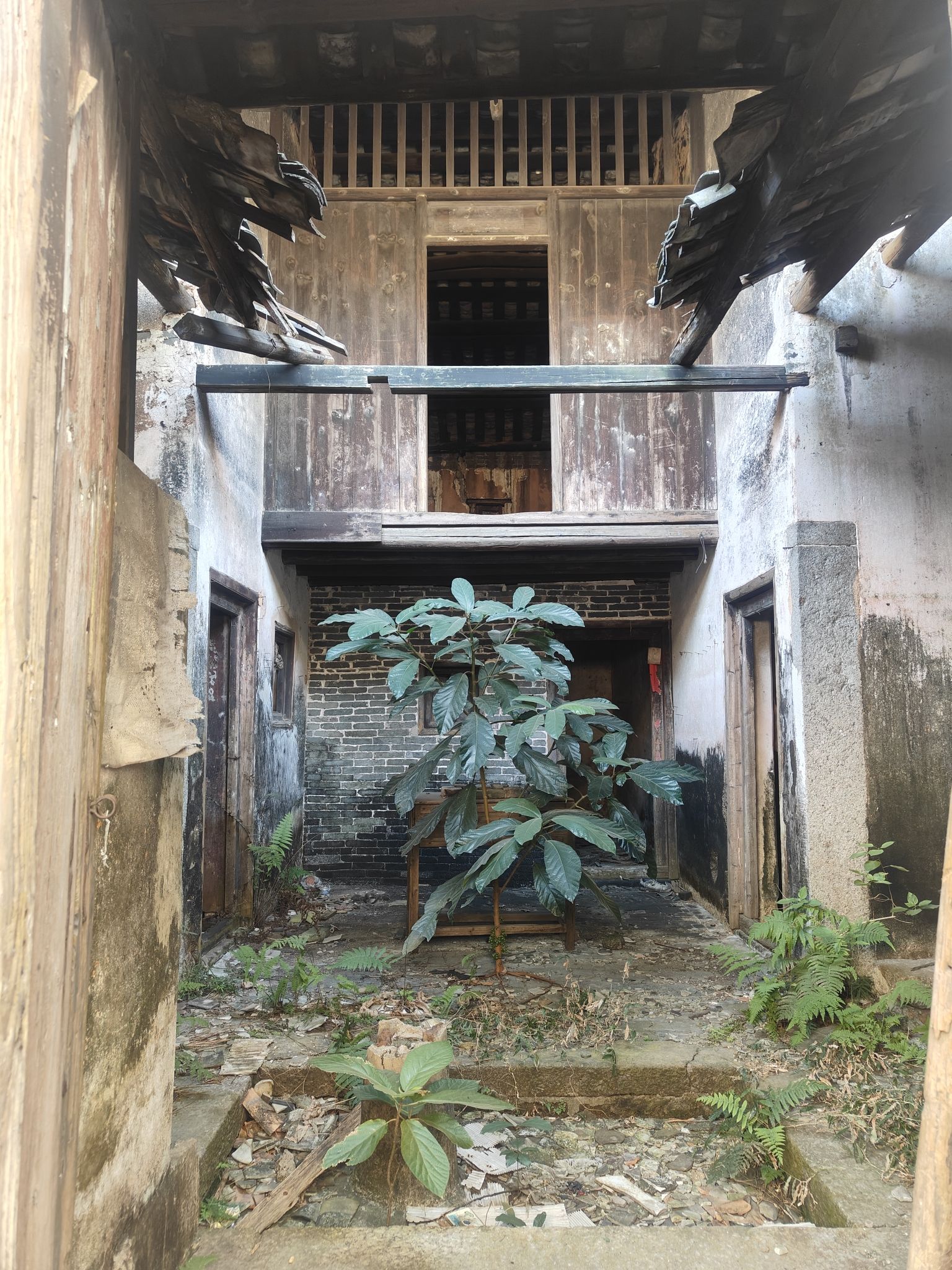 南园古村旅行图片 1