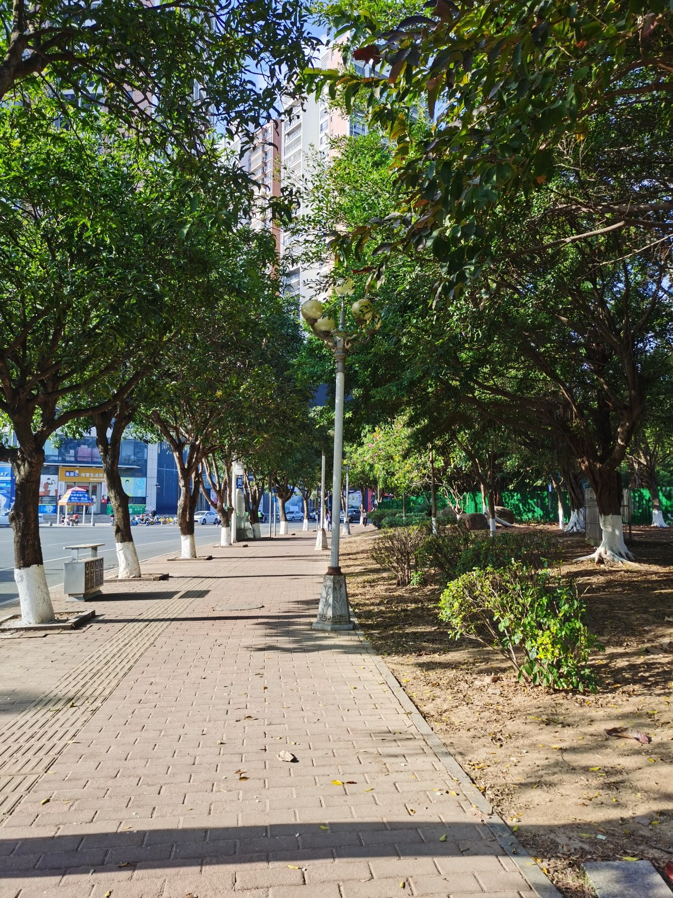东源公园旅行图片 2