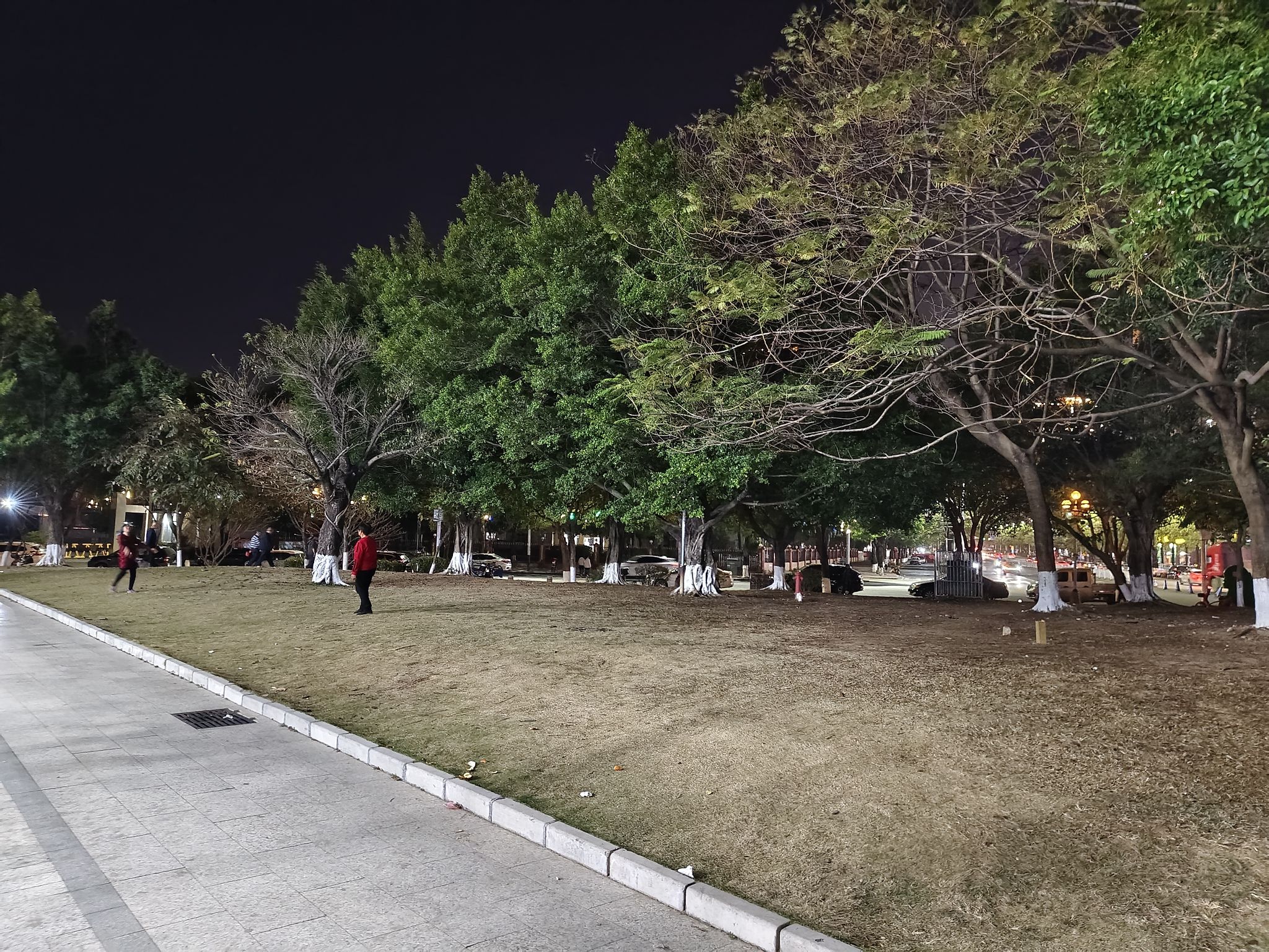 东源公园旅行图片 1
