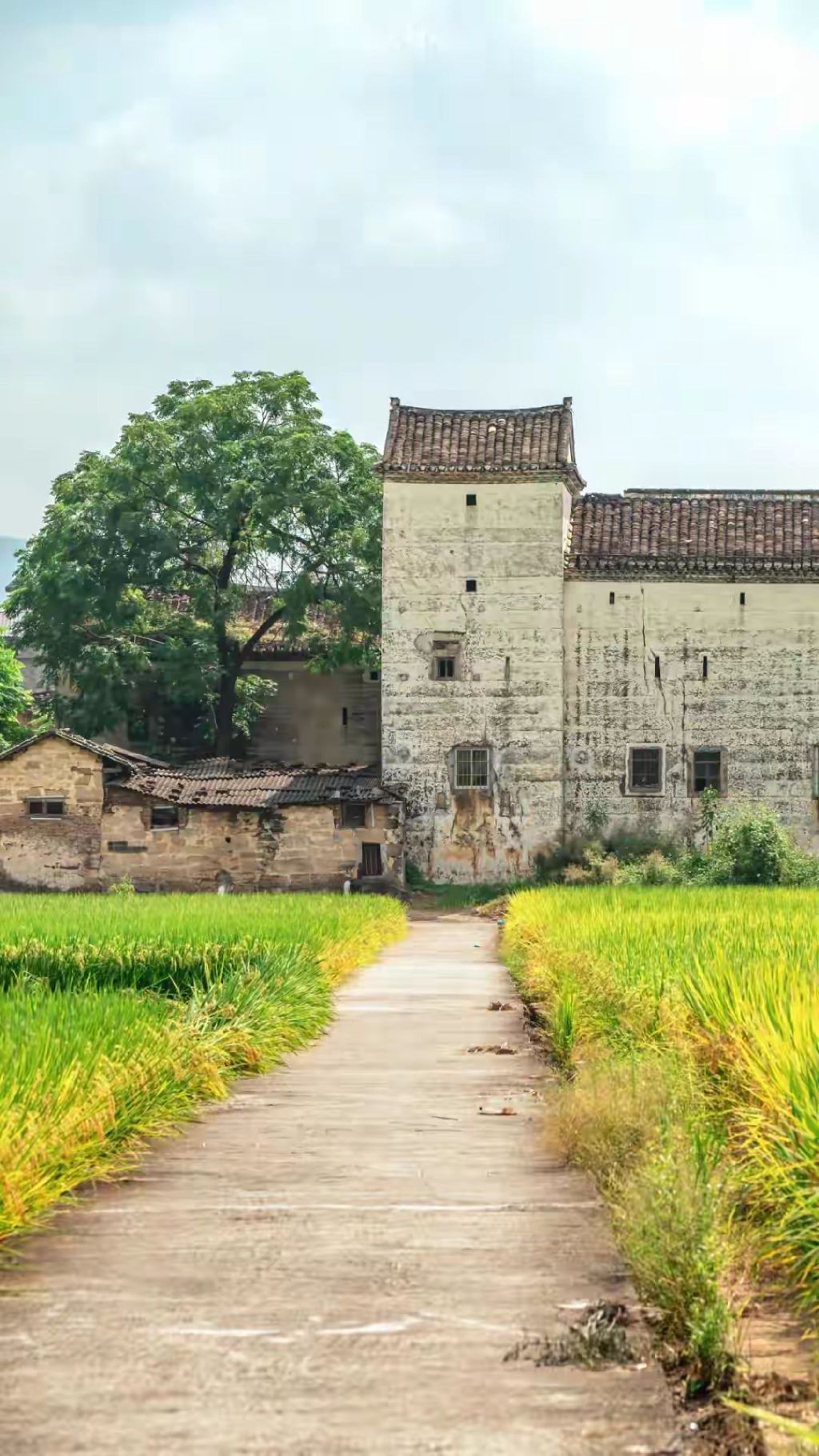 林寨古村落旅行图片 1