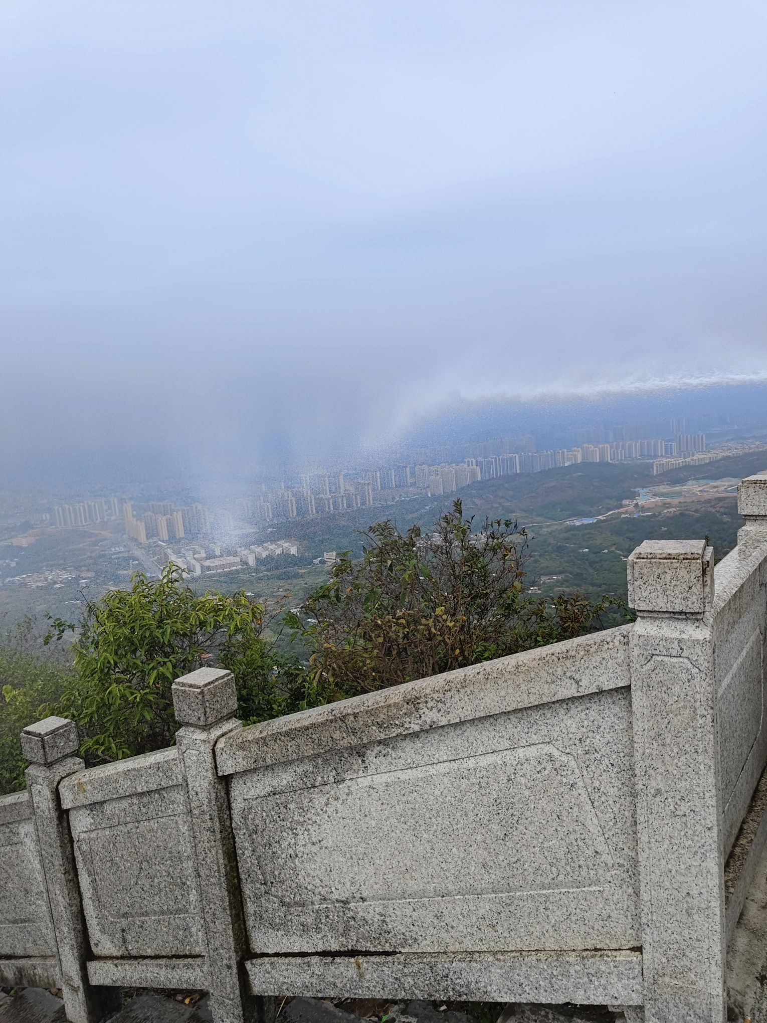 梧桐山公园旅行图片 1