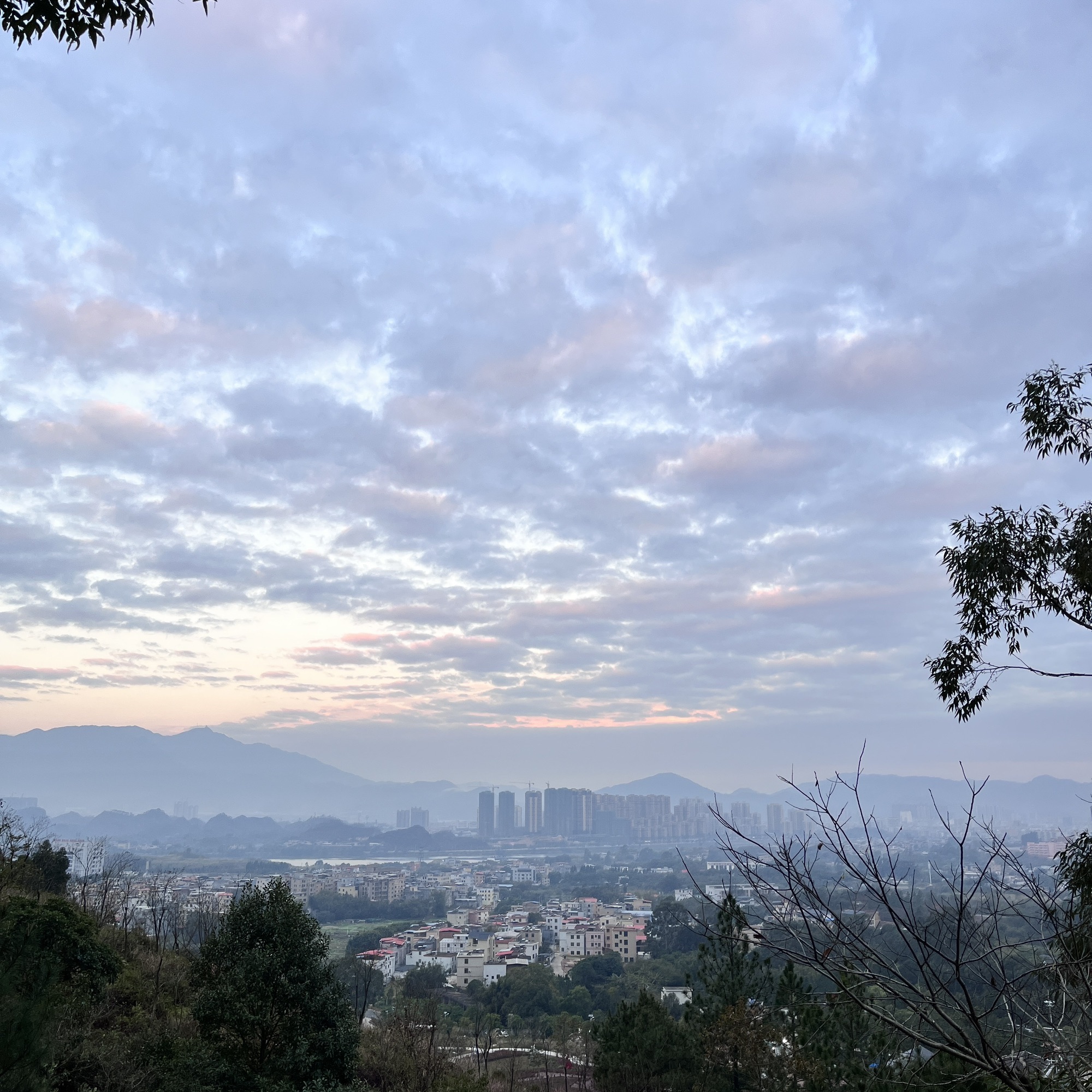 梧桐山公园旅行图片 1