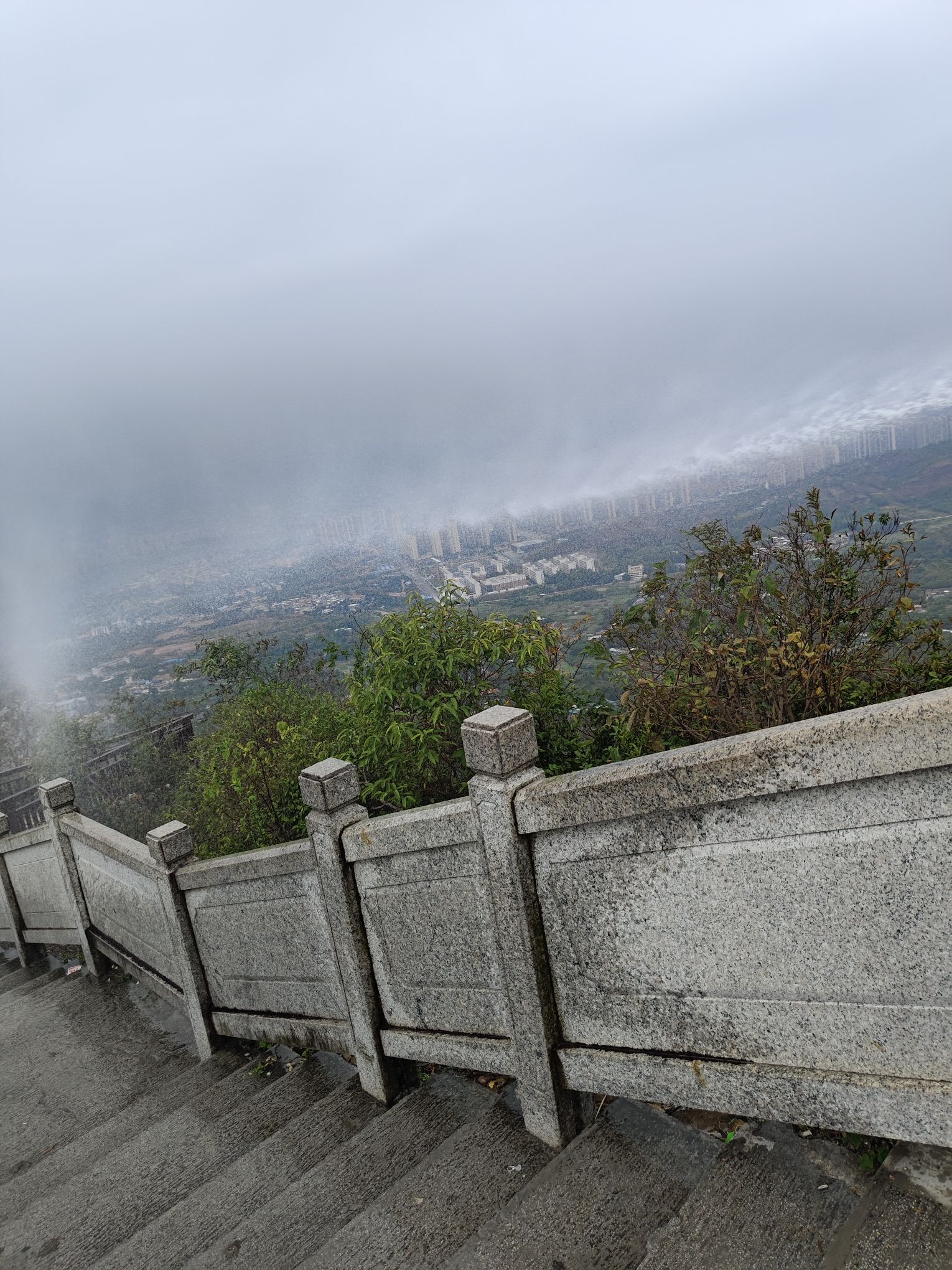 梧桐山公园旅行图片 2