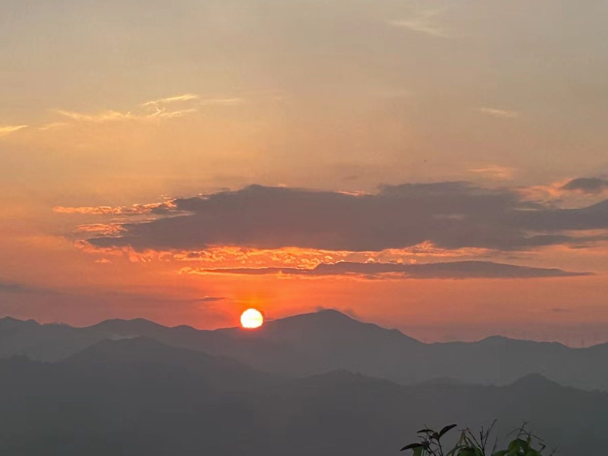 梧桐山公园旅行图片 3