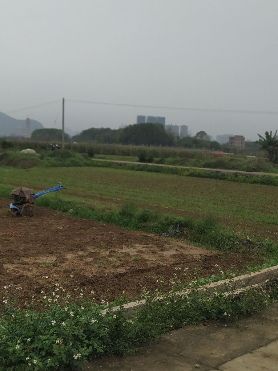 文峰塔旅行图片 2