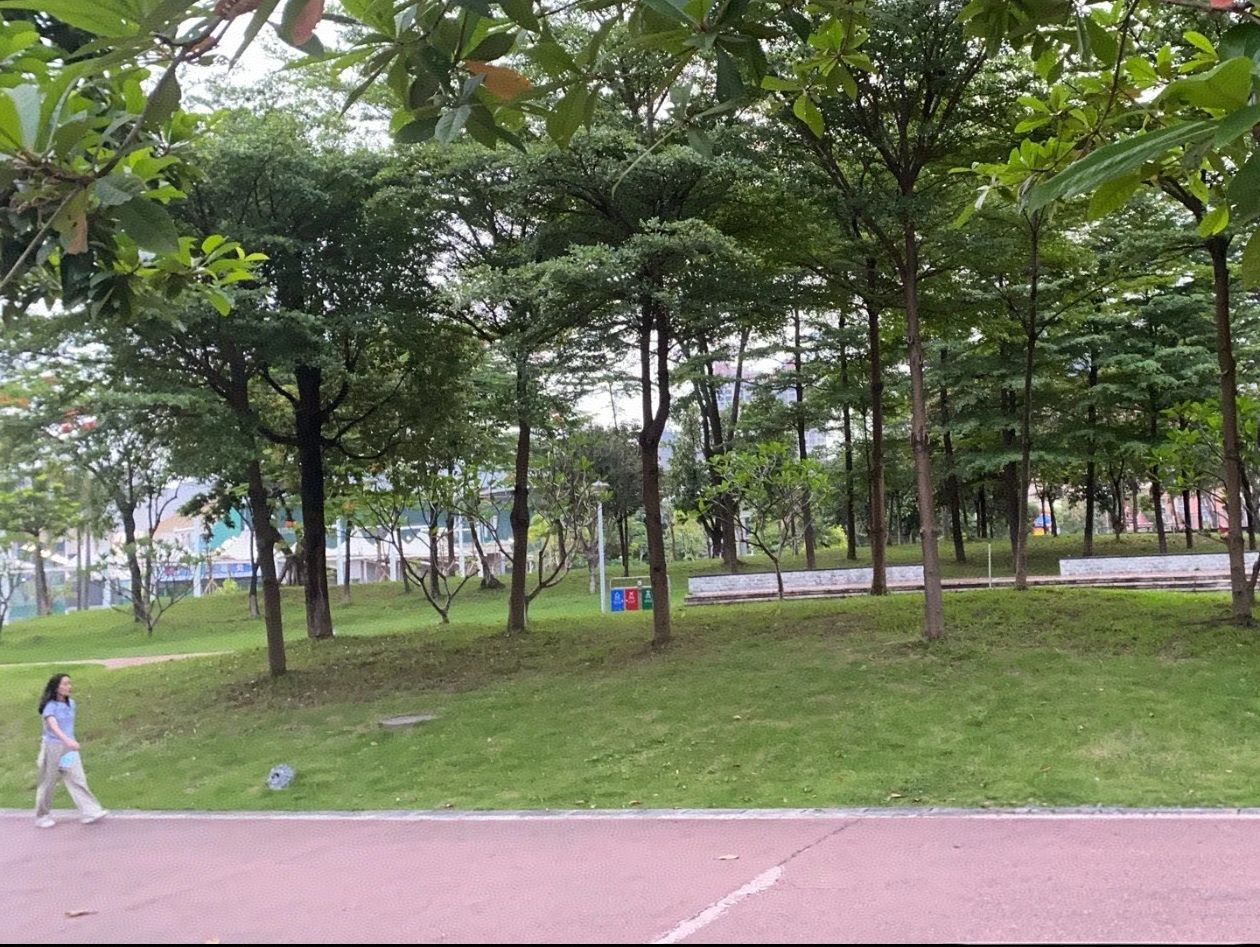 清新体育公园旅行图片 1