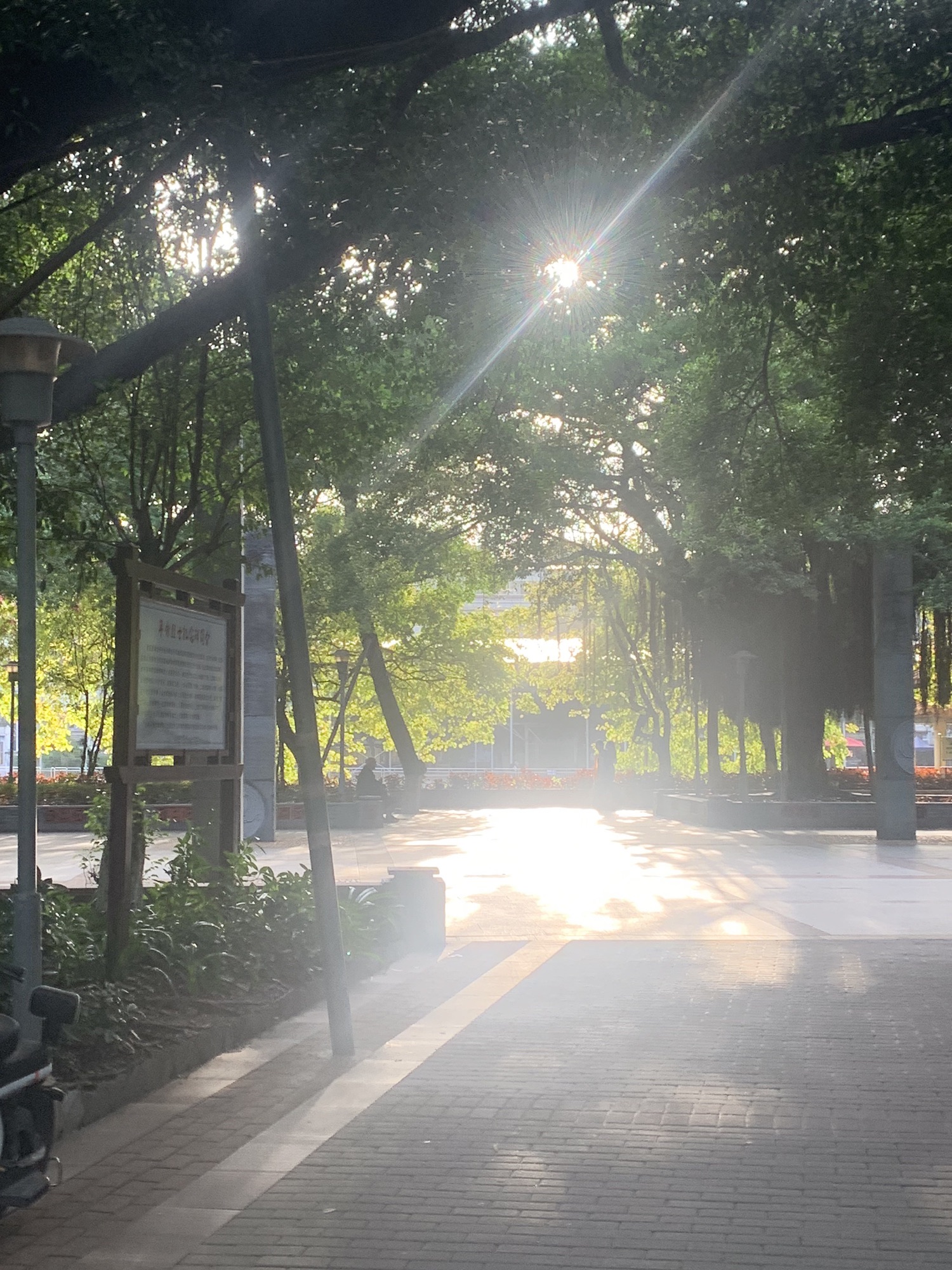 中山公园旅行图片 2