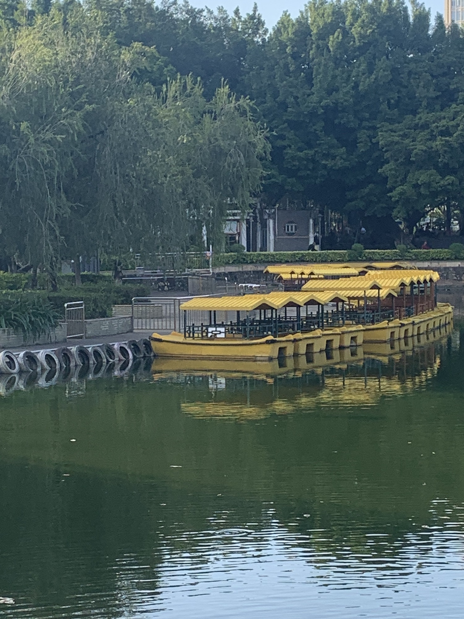 中山公园旅行图片 3
