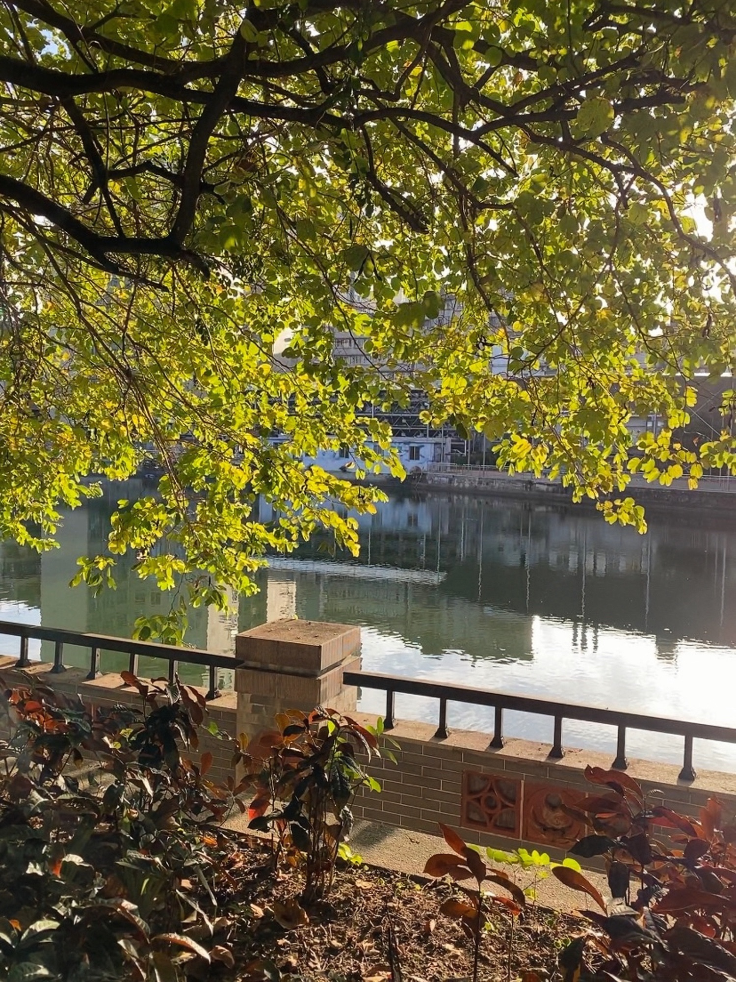 中山公园旅行图片 1
