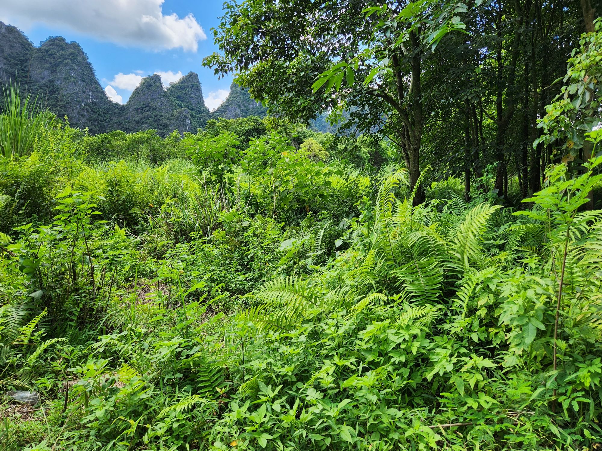 观音谷旅行图片 3