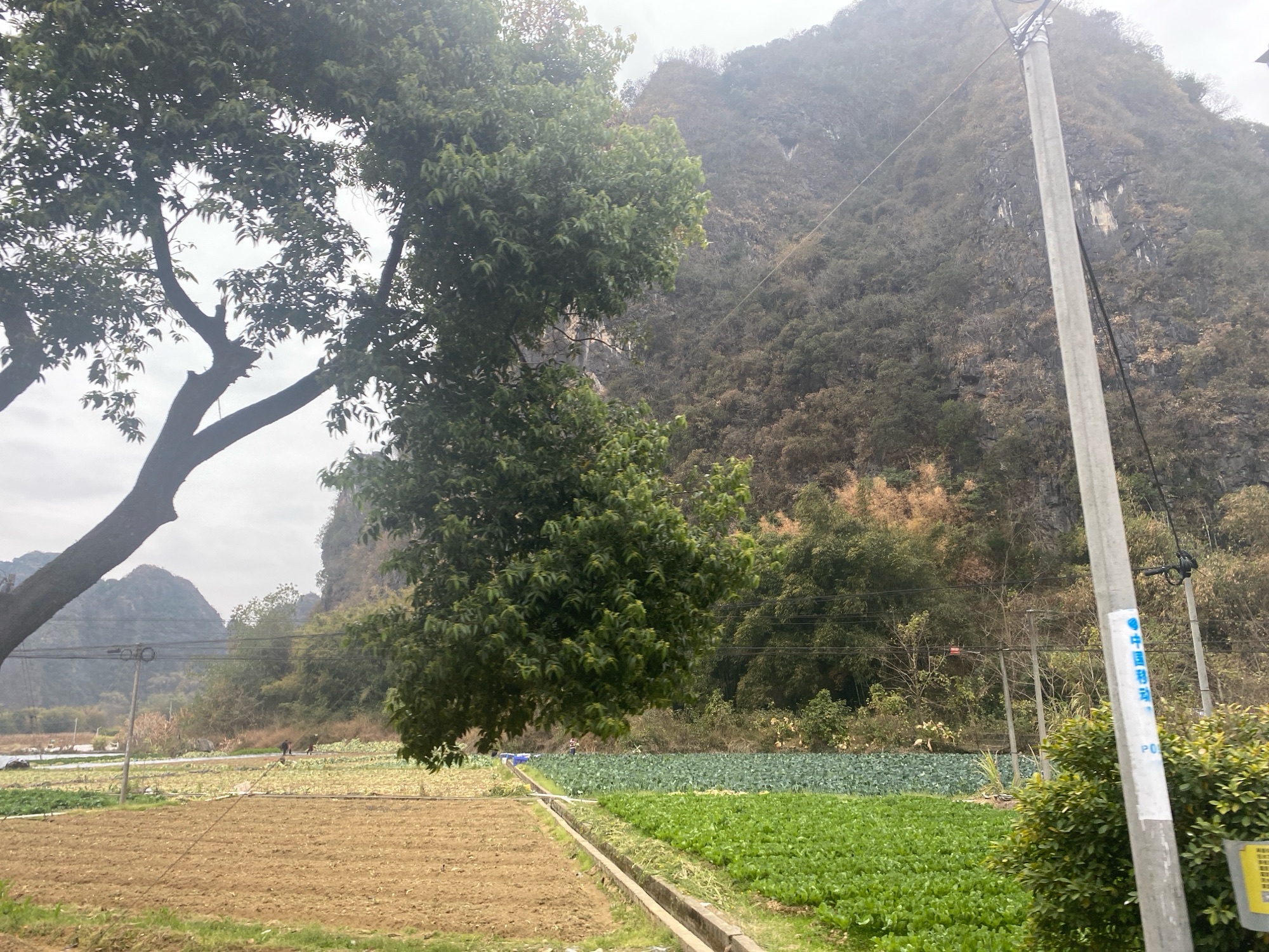 观音谷旅行图片 3
