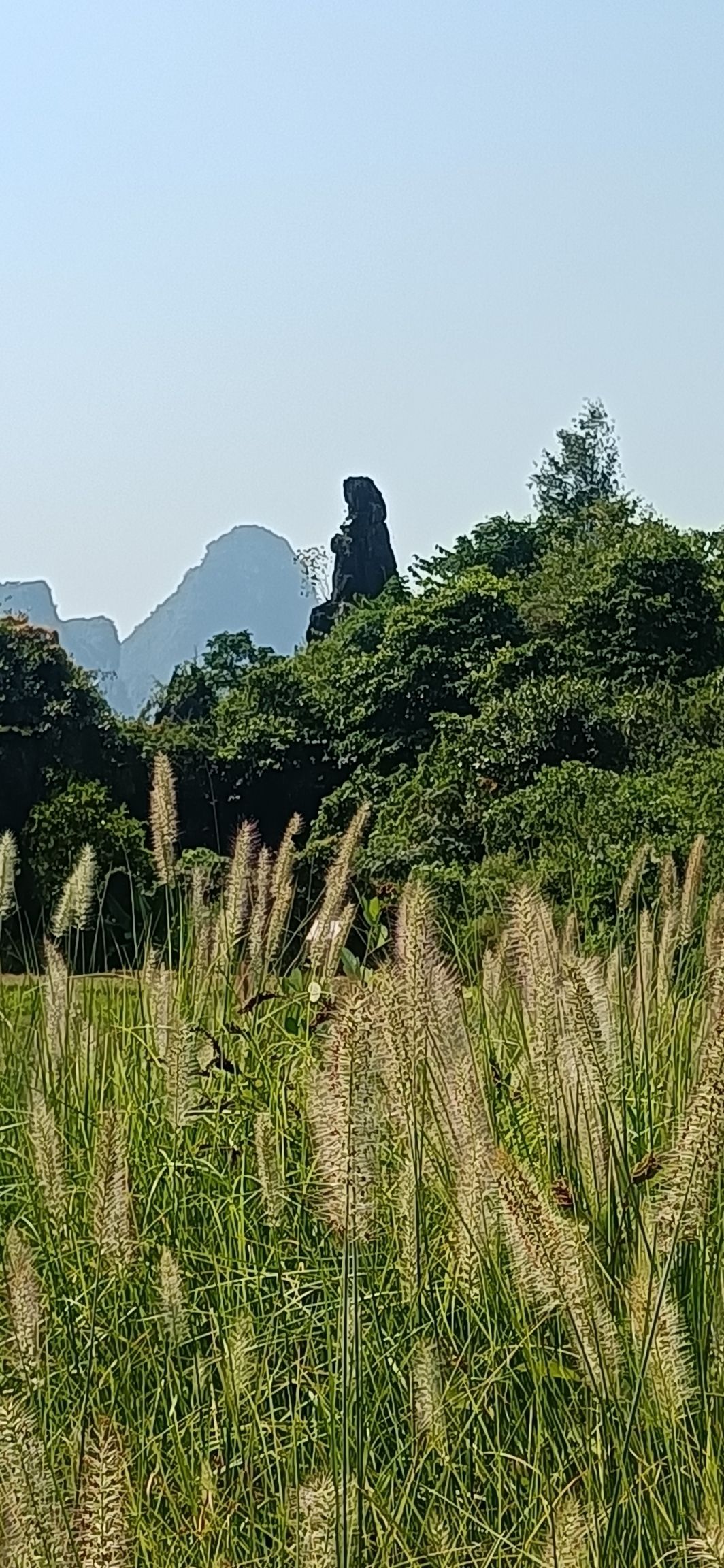 观音谷旅行图片 1