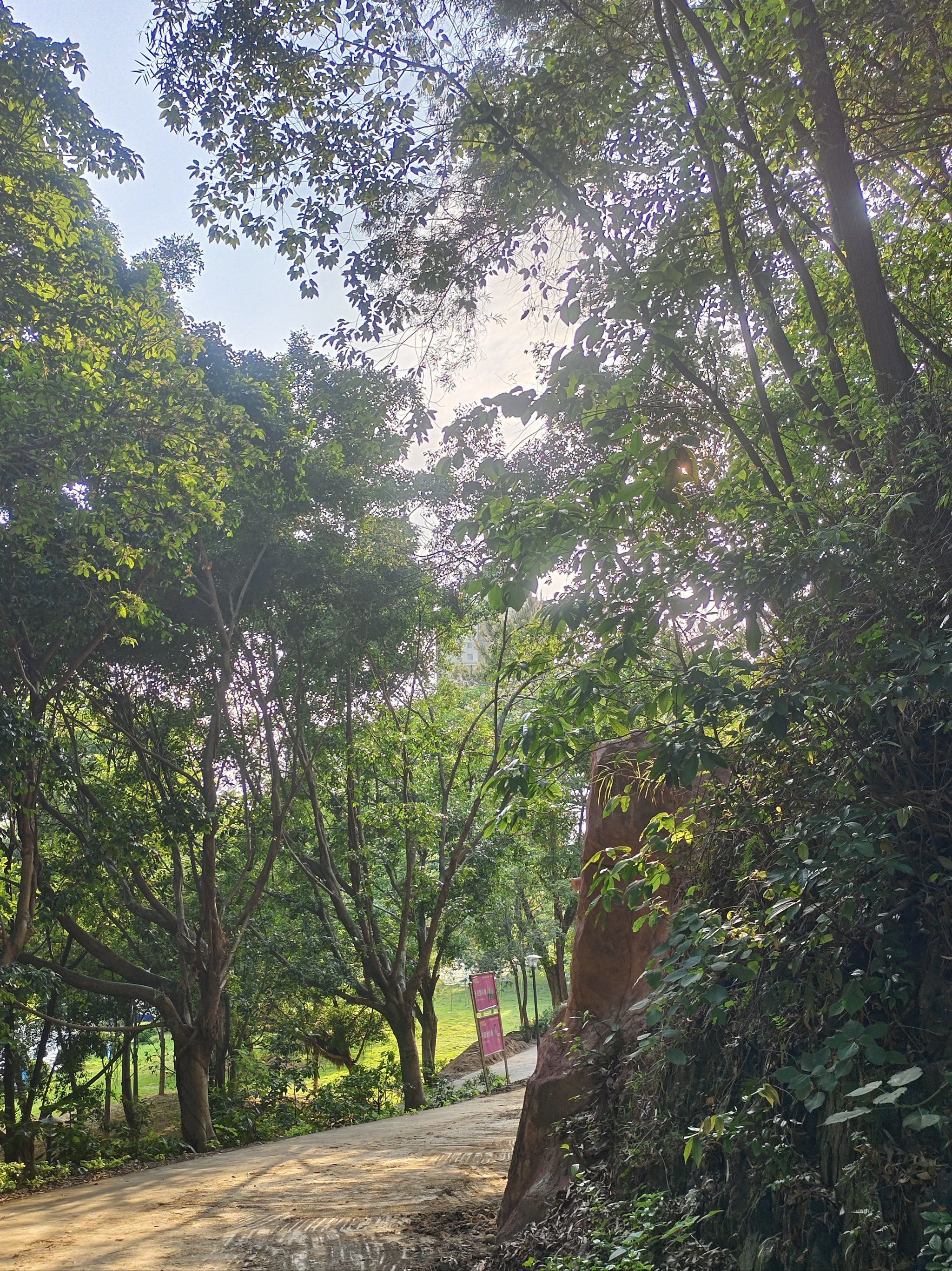 龙山公园旅行图片 2