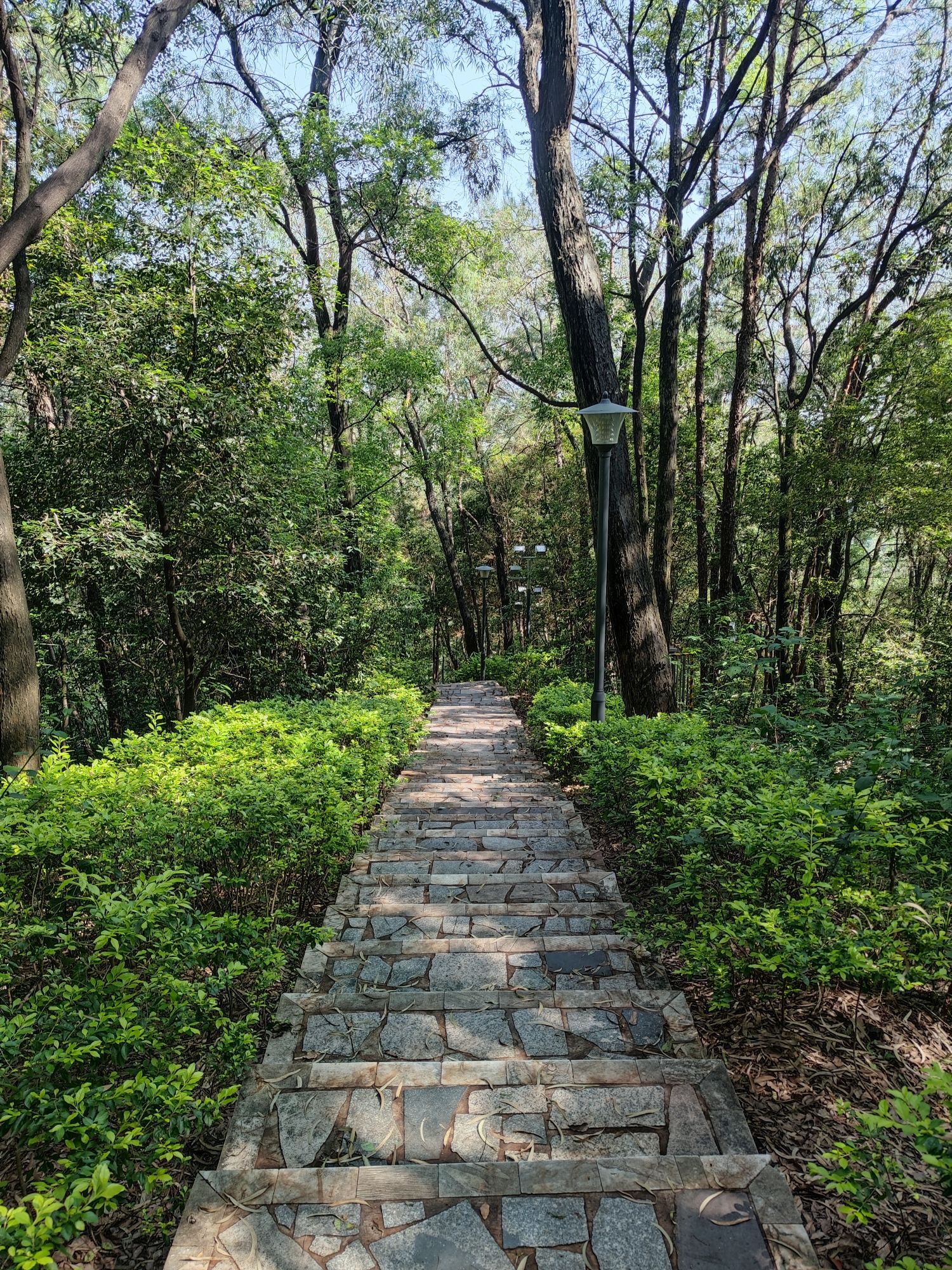 龙山公园旅行图片 1