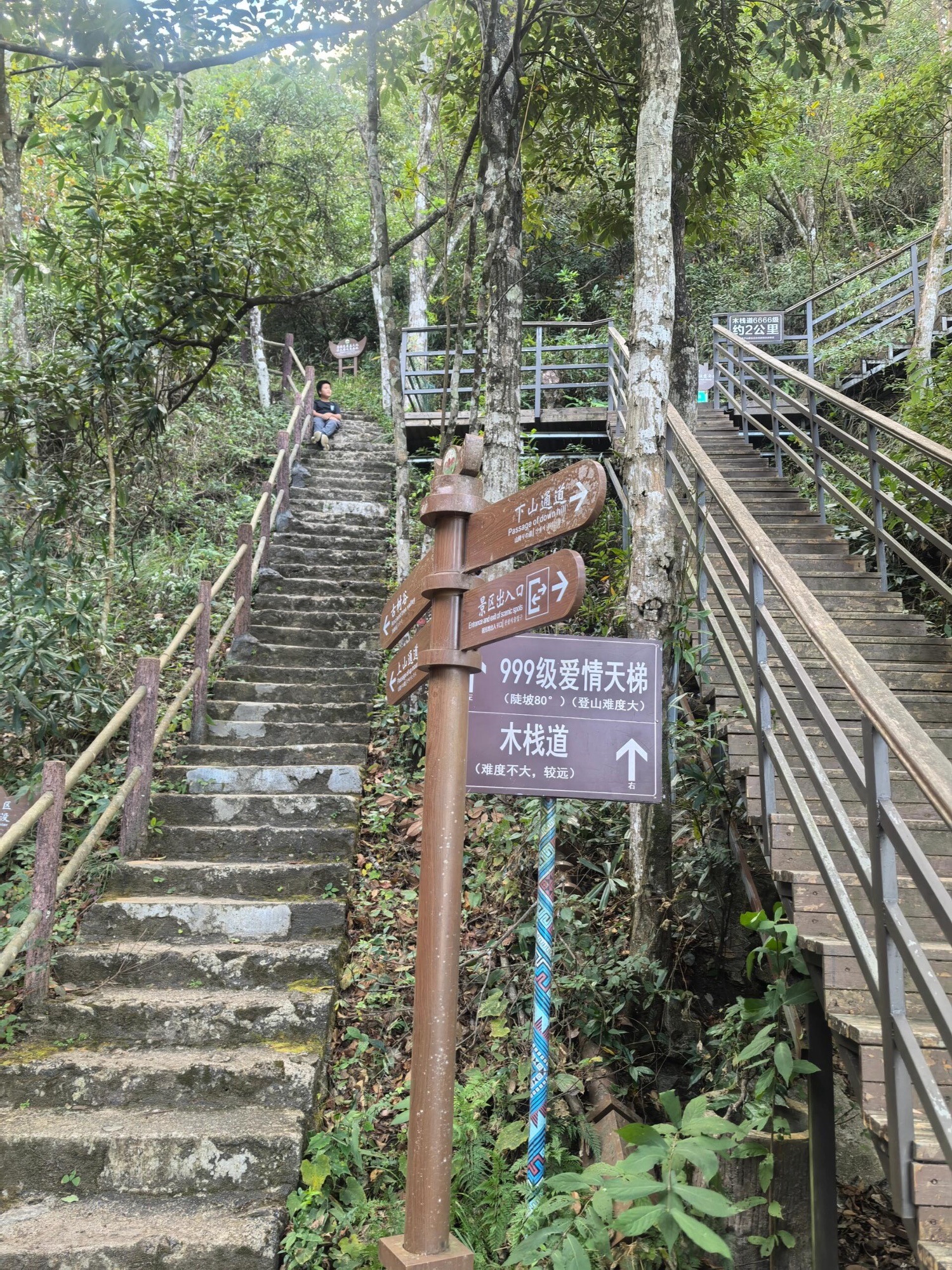 金子山原生态旅游度假区旅行图片 2