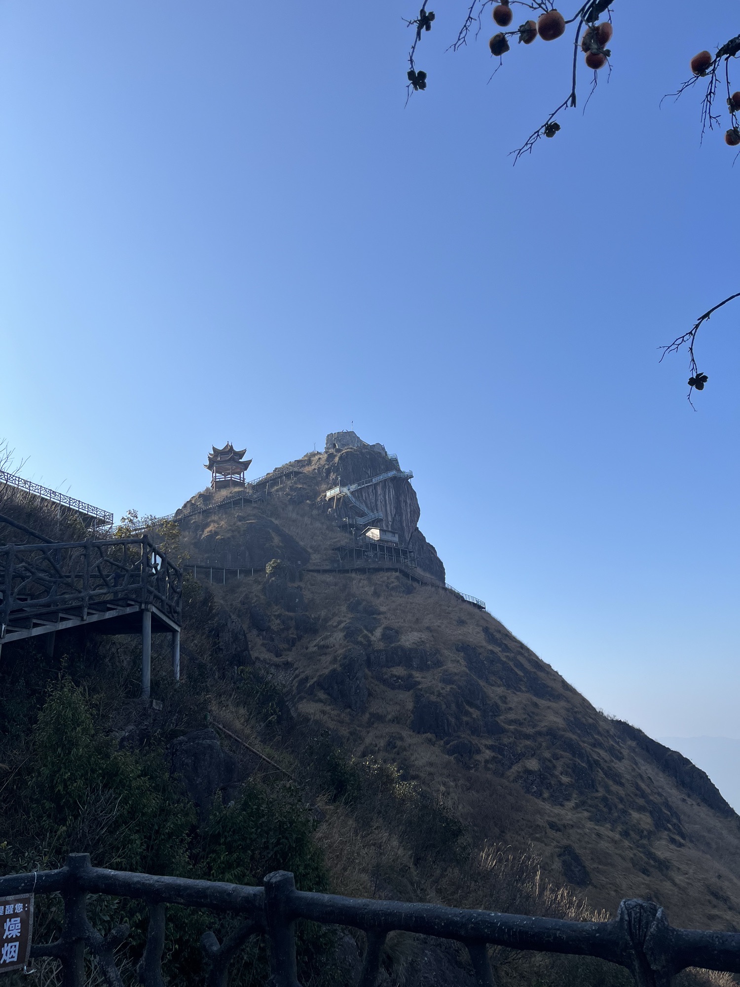 金子山原生态旅游度假区旅行图片 3