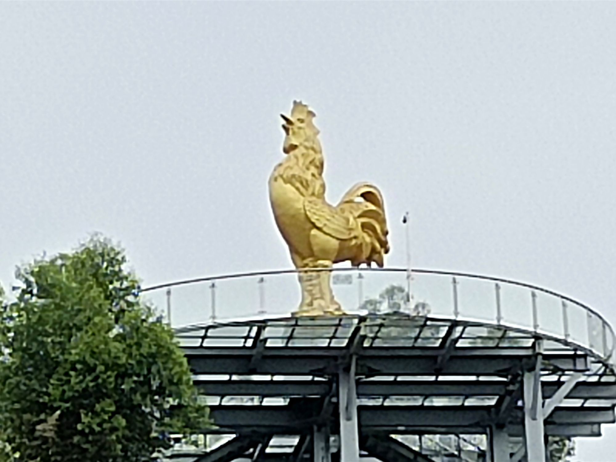 金鸡岩旅行图片 1
