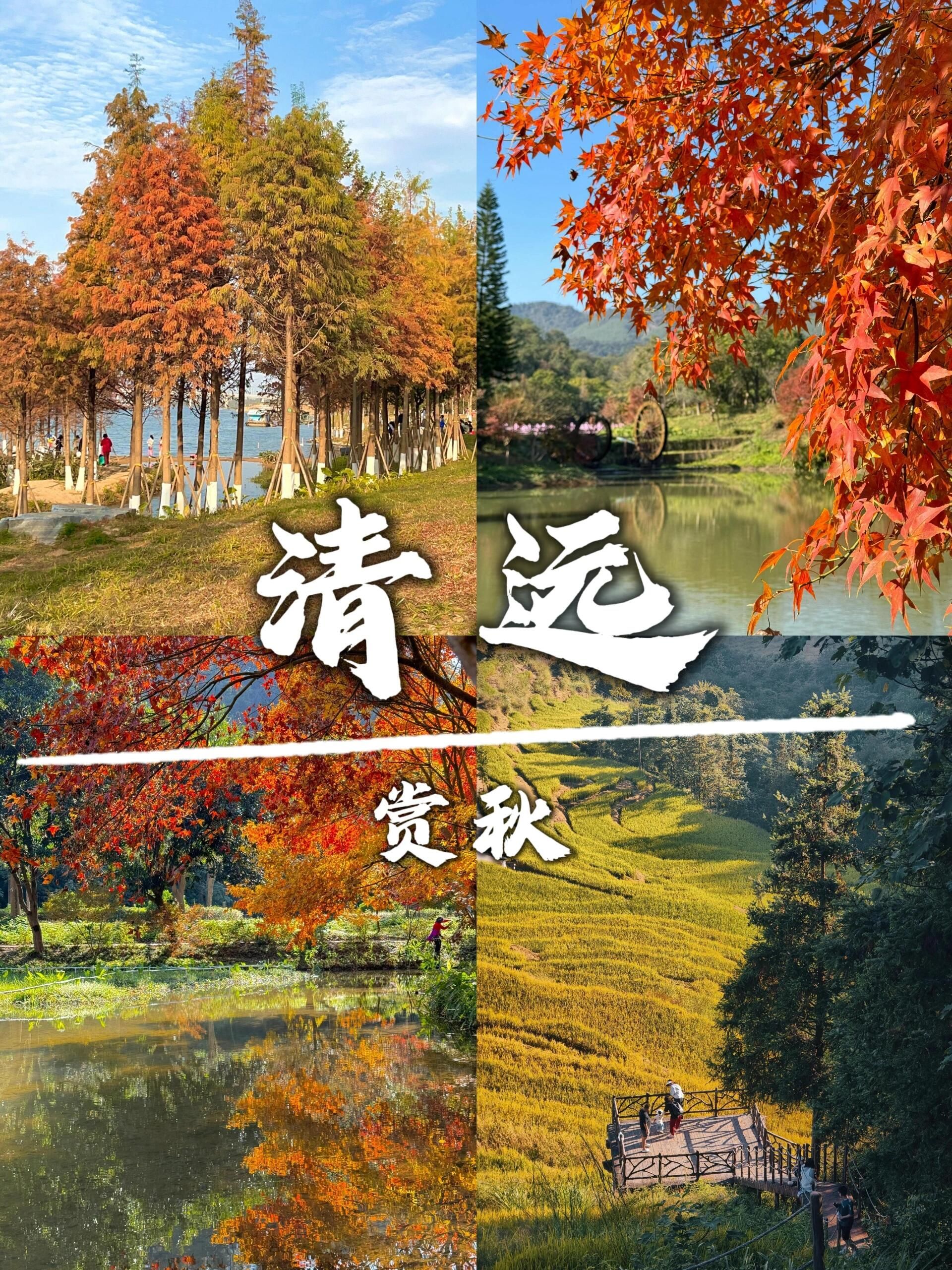 广东南岭国家级自然保护区旅行图片 1