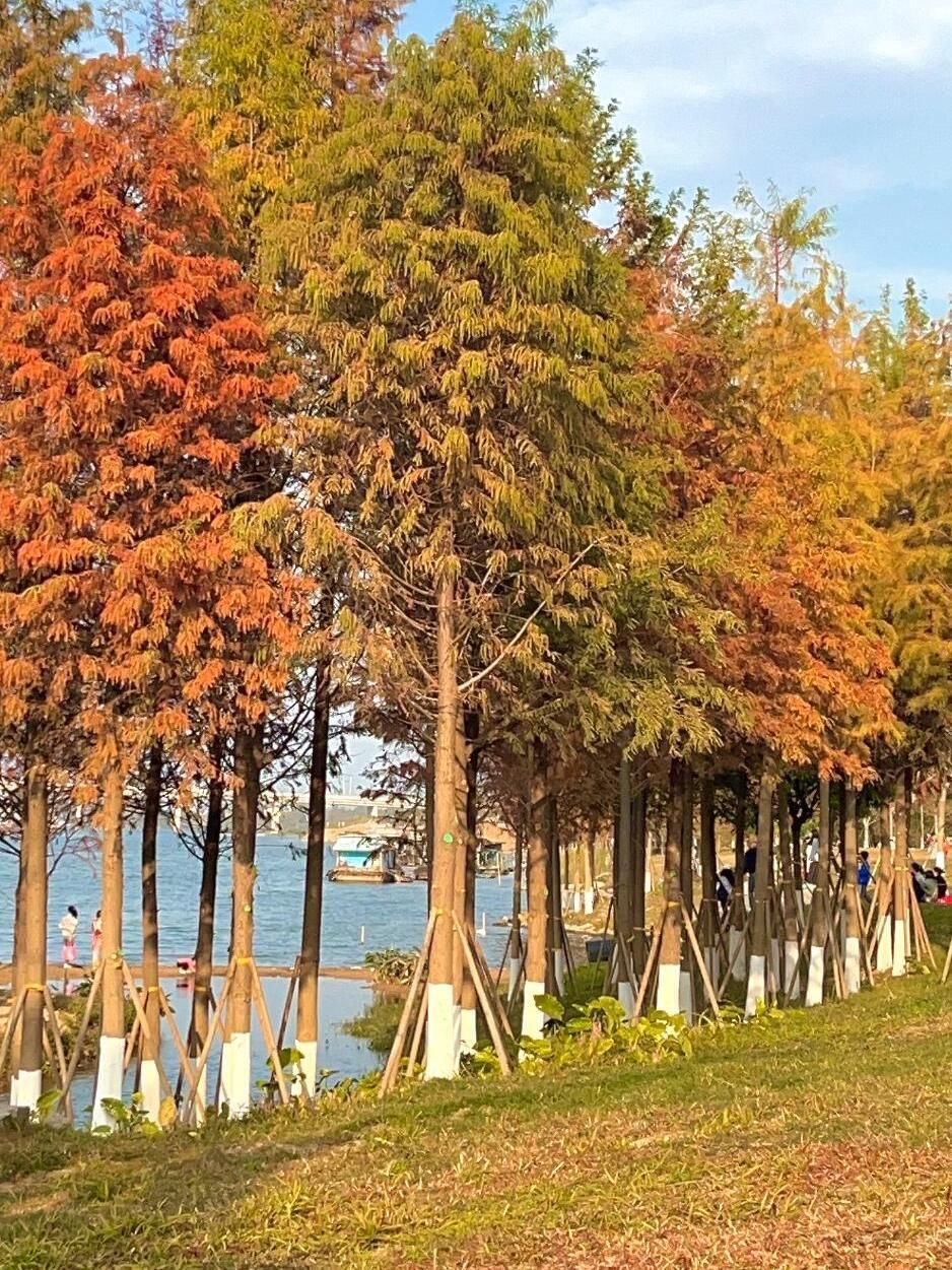 广东南岭国家级自然保护区旅行图片 3