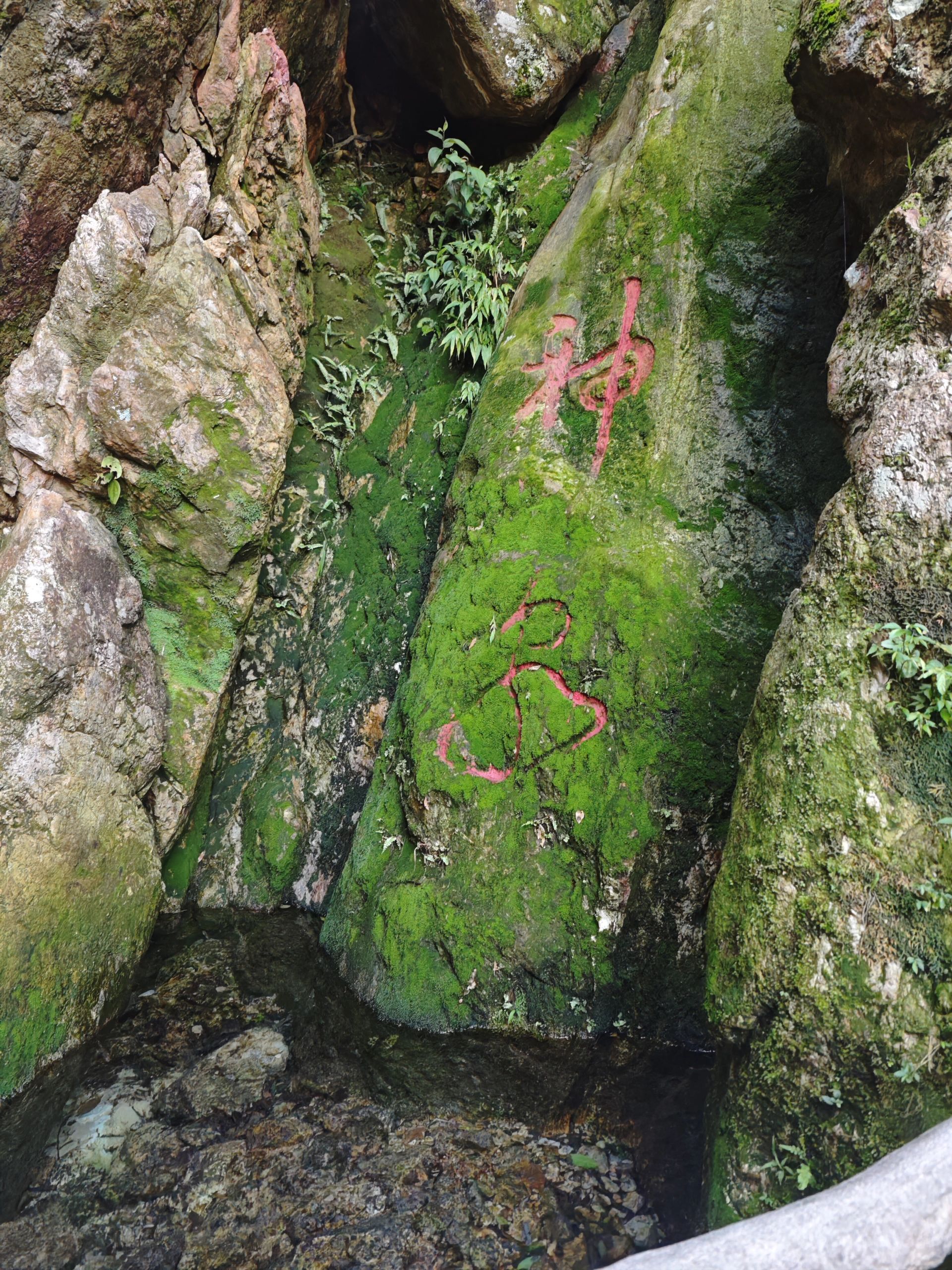 牛鱼嘴原始生态风景区旅行图片 3