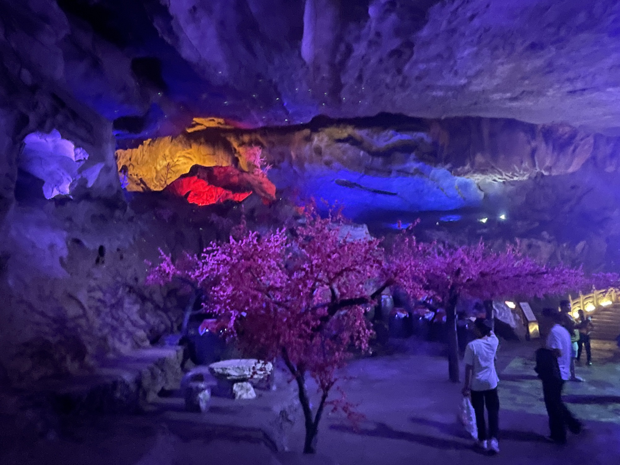 连州地下河旅行图片 3