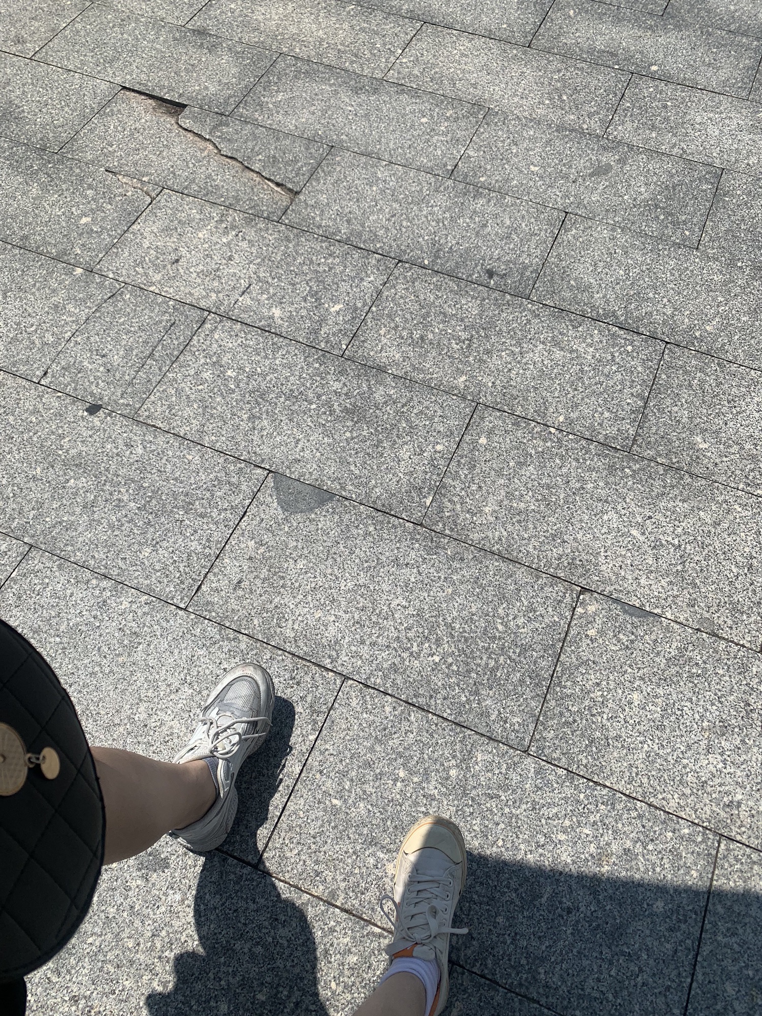 连南顺德文化广场旅行图片 3