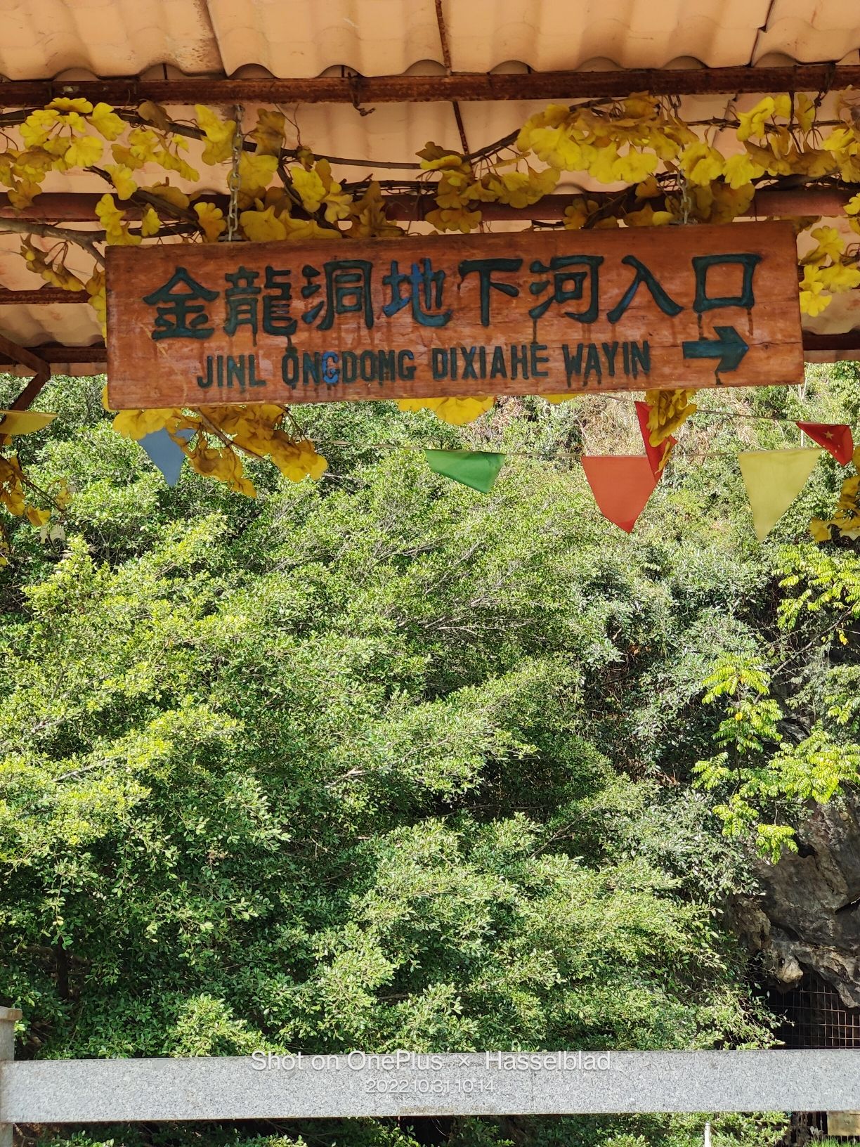 金龙洞地下河旅行图片 1