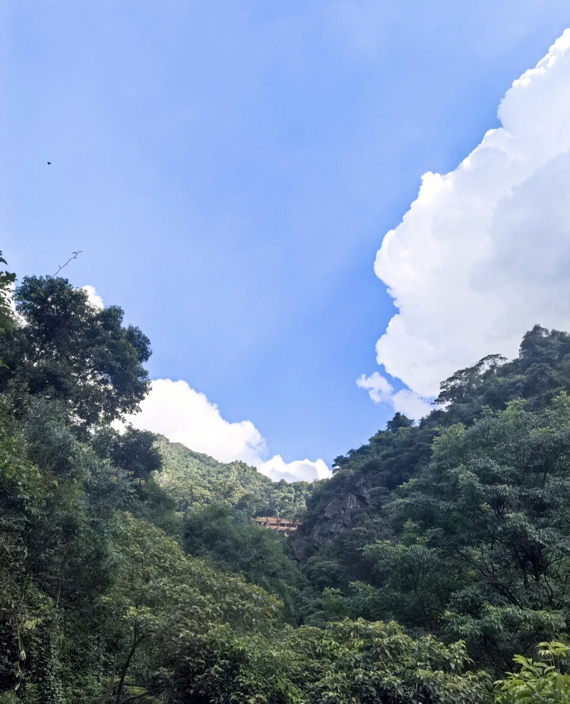 太和古洞旅行图片 1