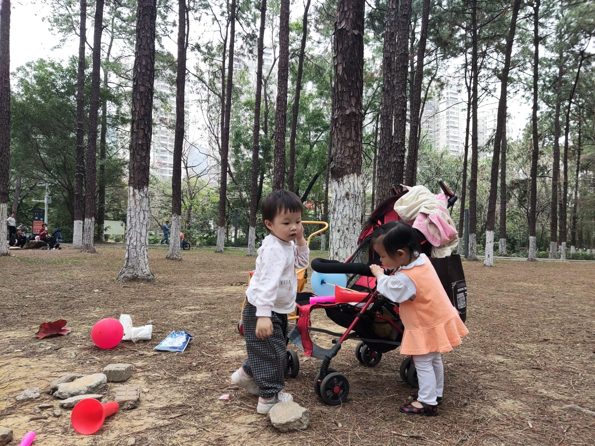 松林公园旅行图片 3