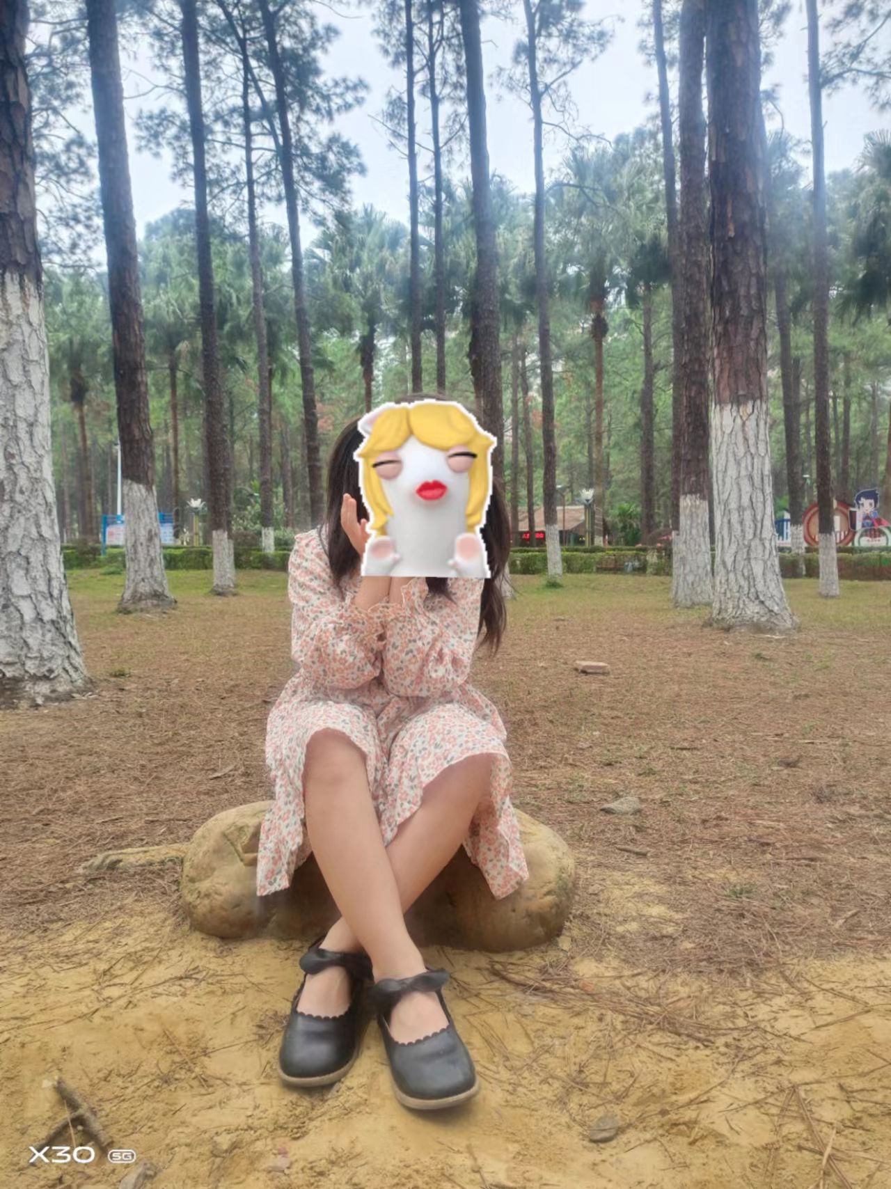 松林公园旅行图片 2